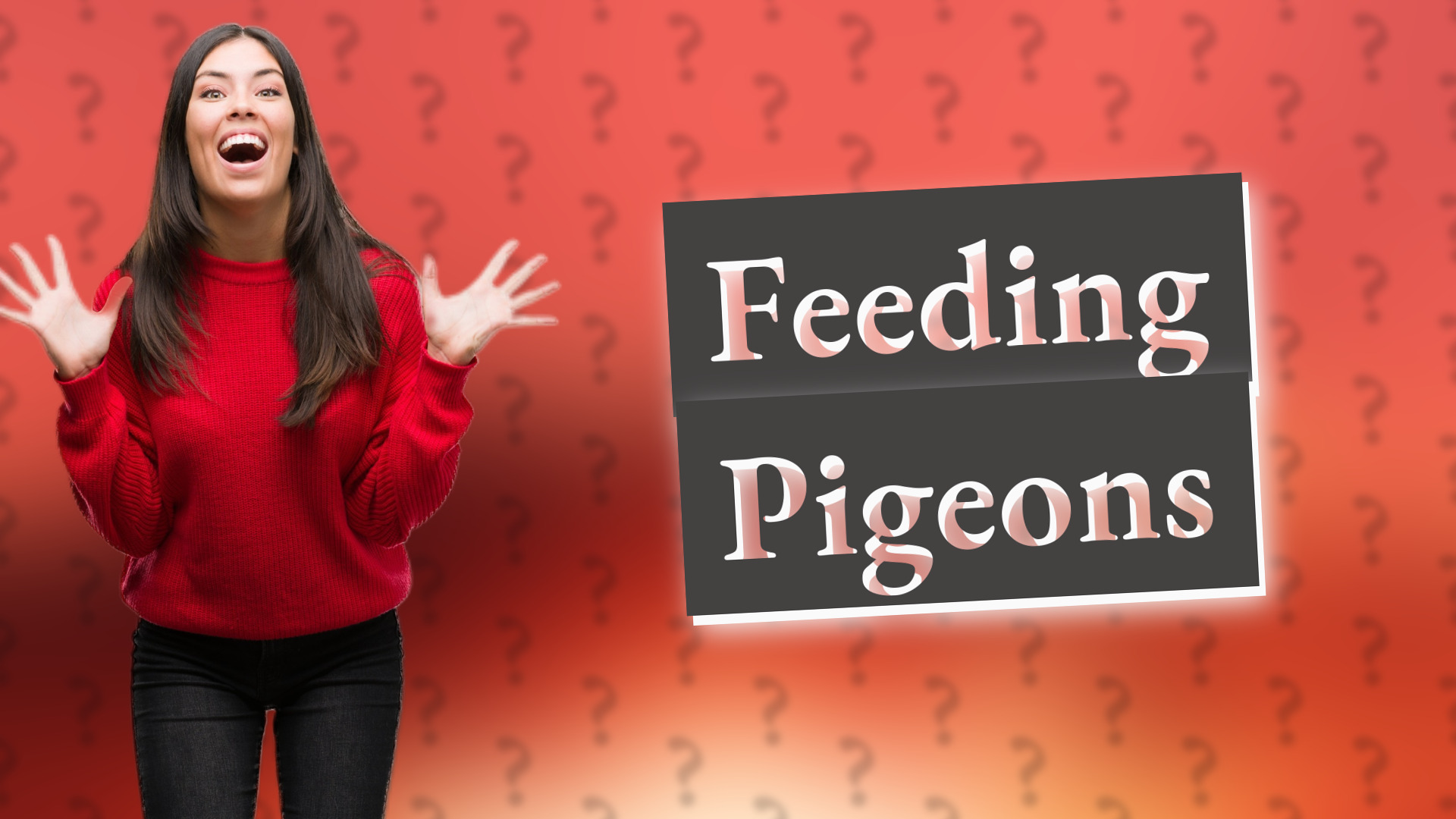 Feeding Pigeons