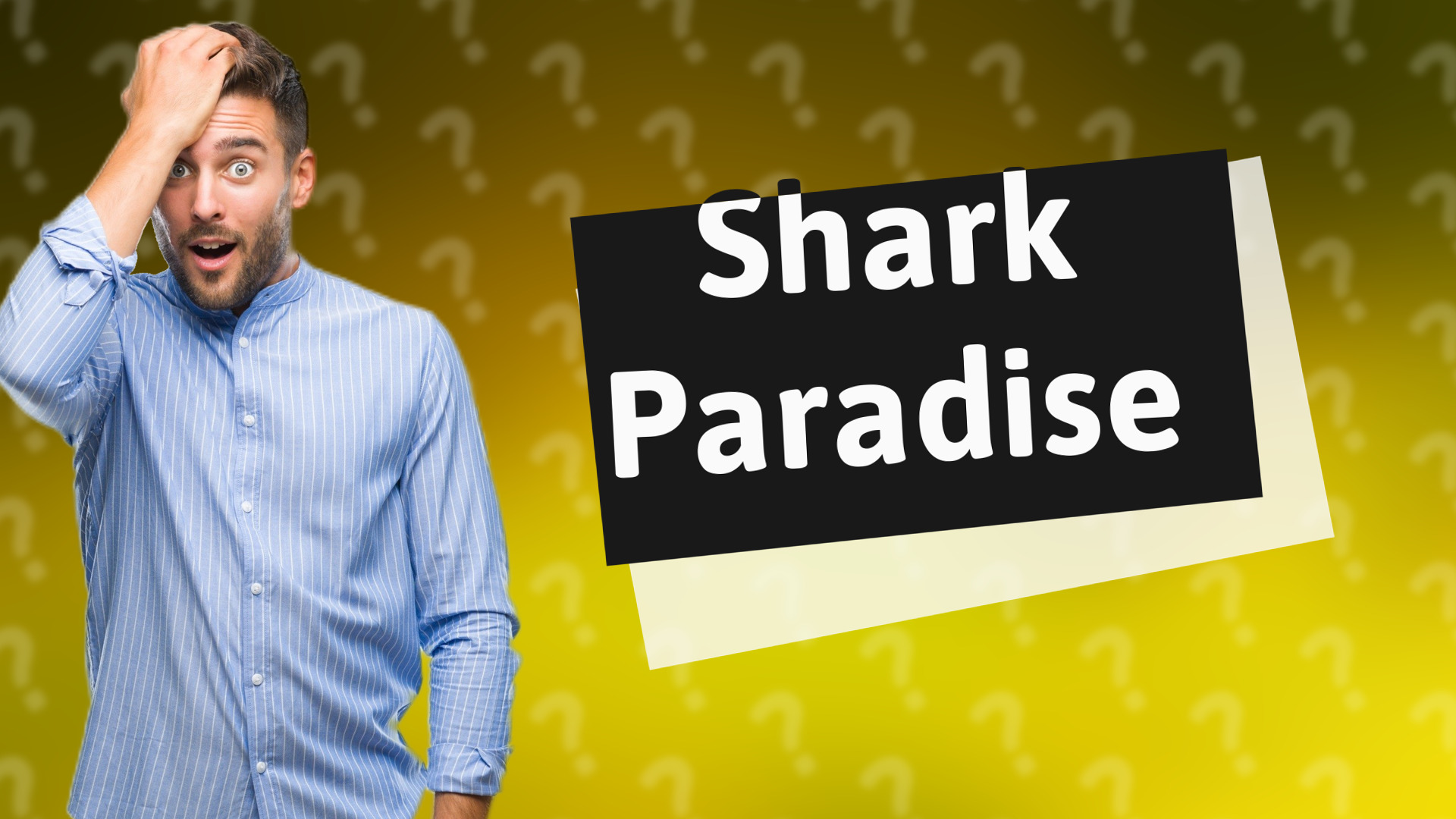 Shark Paradise