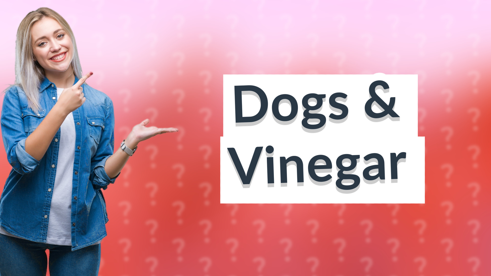 Dogs & Vinegar