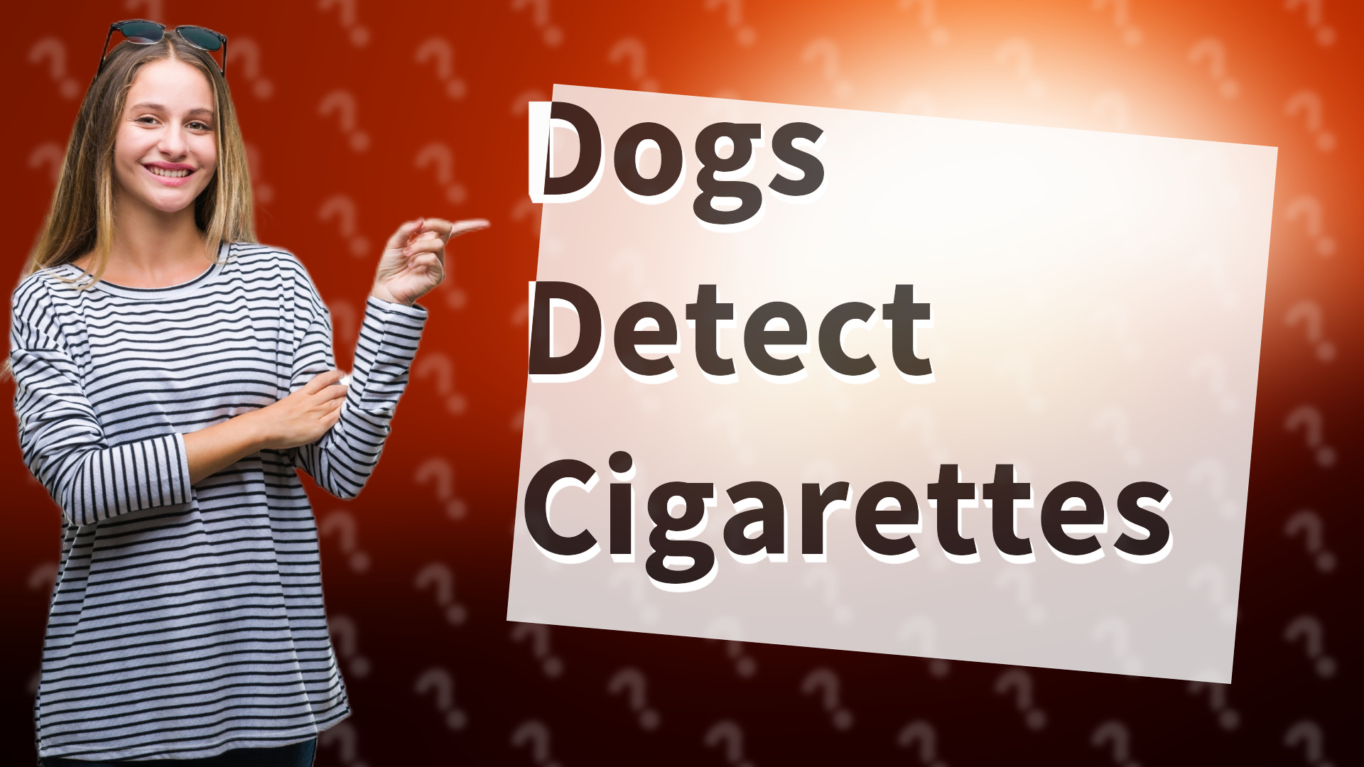 Dogs Detect Cigarettes