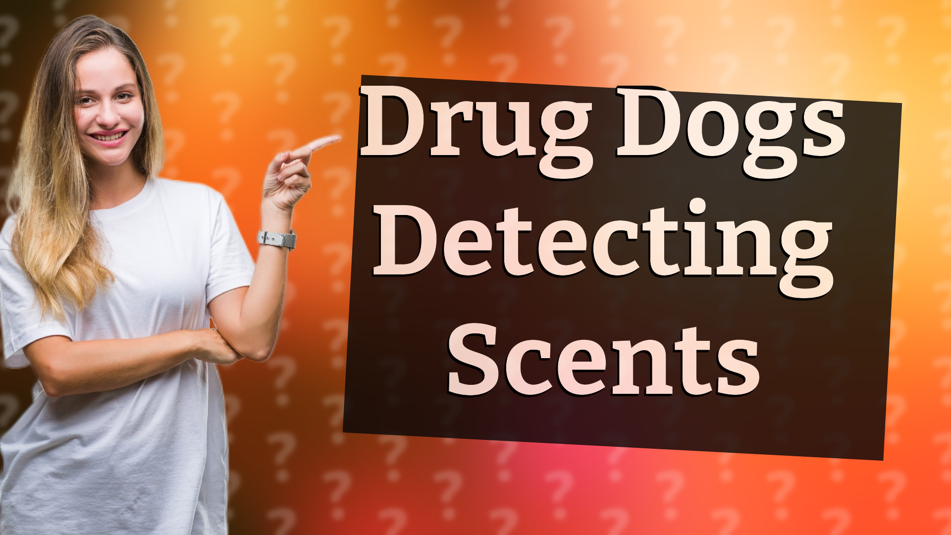 Drug Dogs Detecting Scents