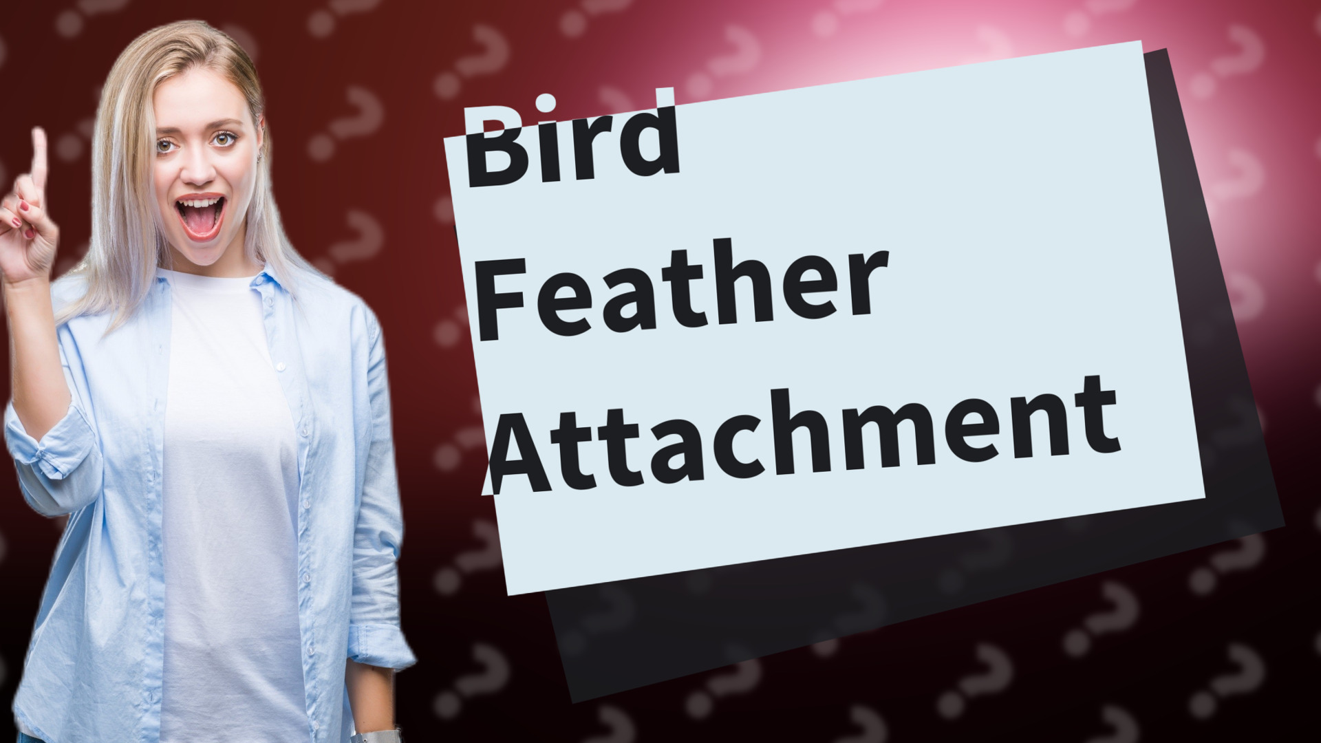 Bird Feather Attachment