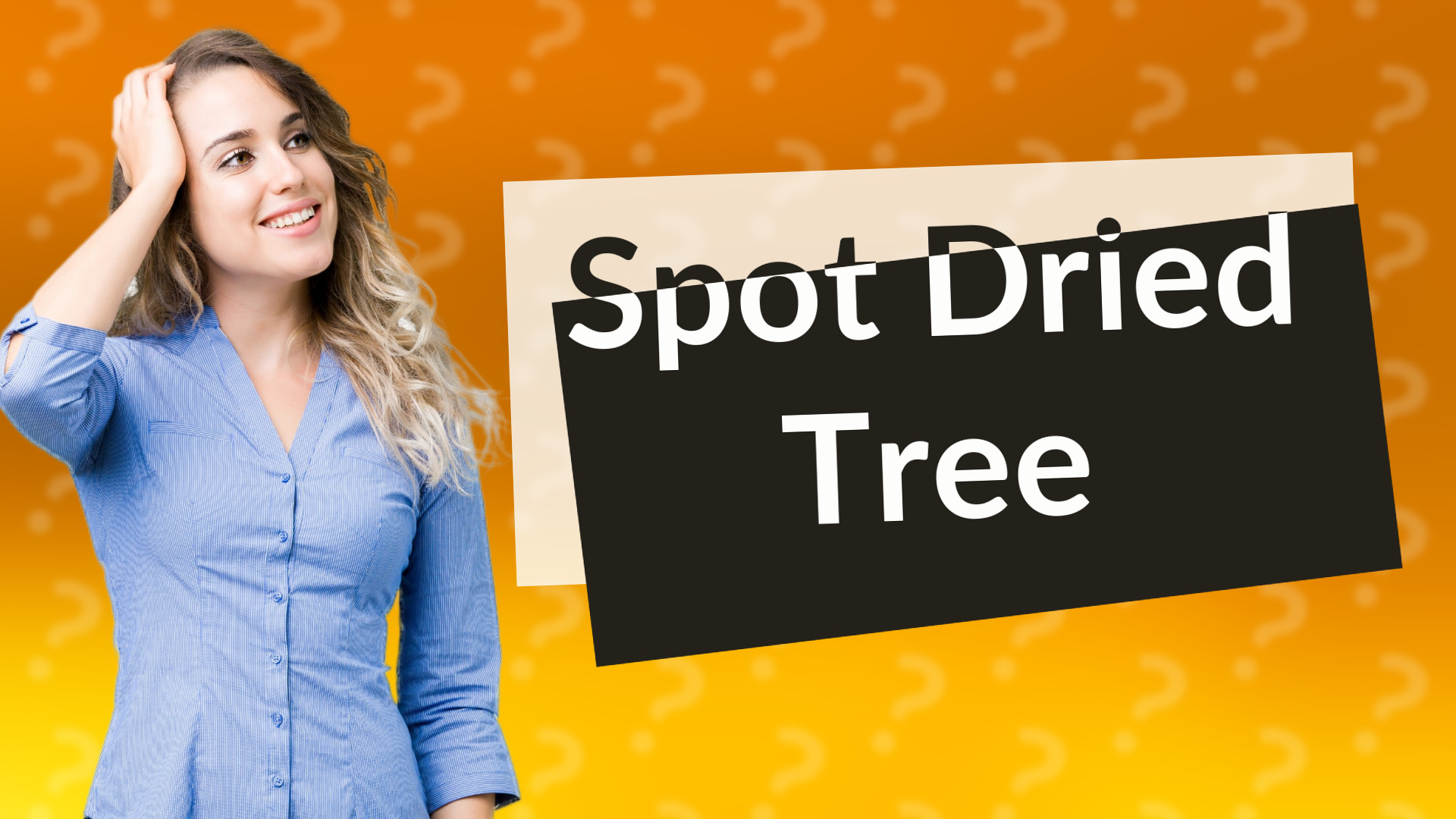 Spot Dried Tree