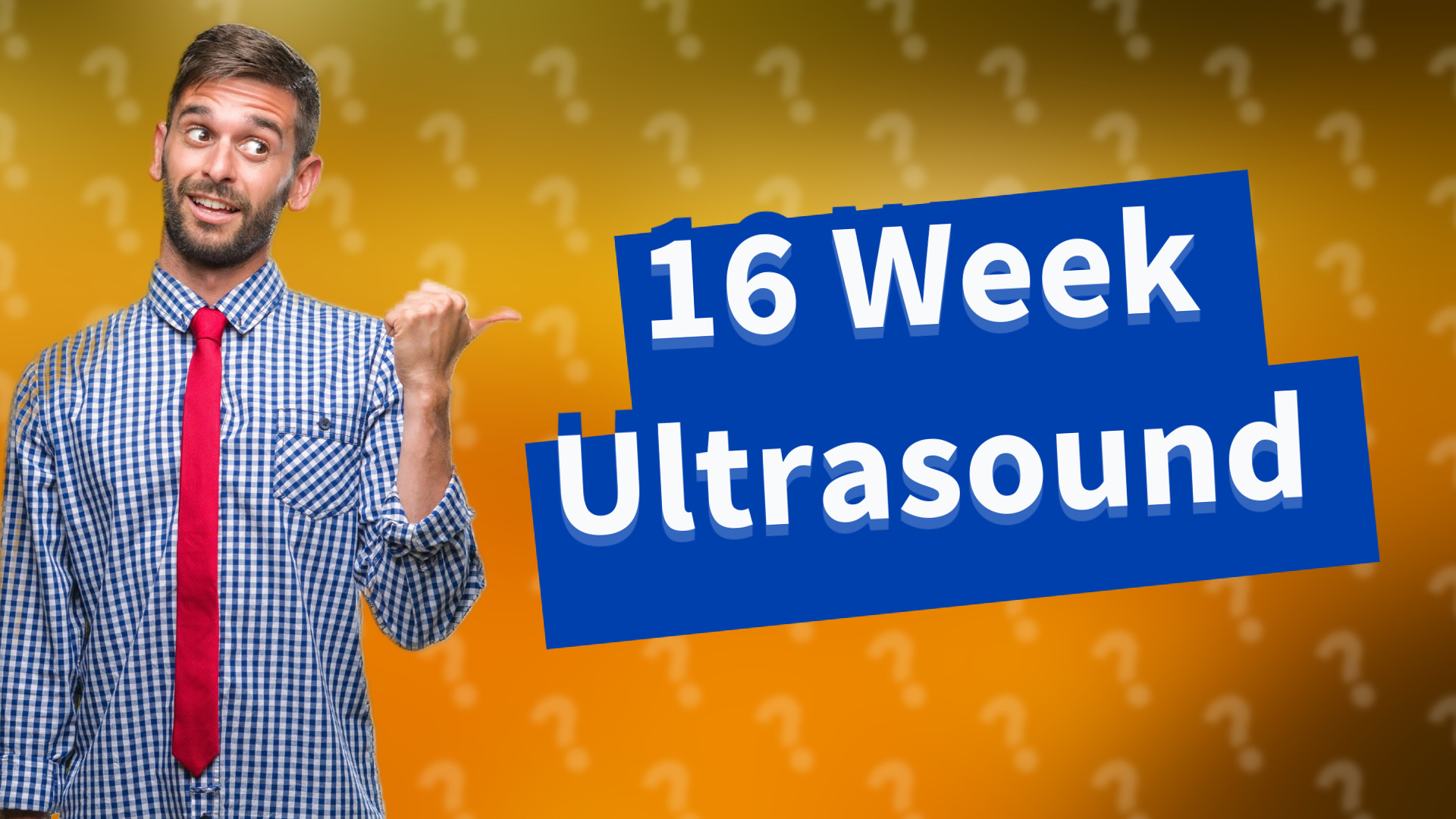 16 Week Ultrasound