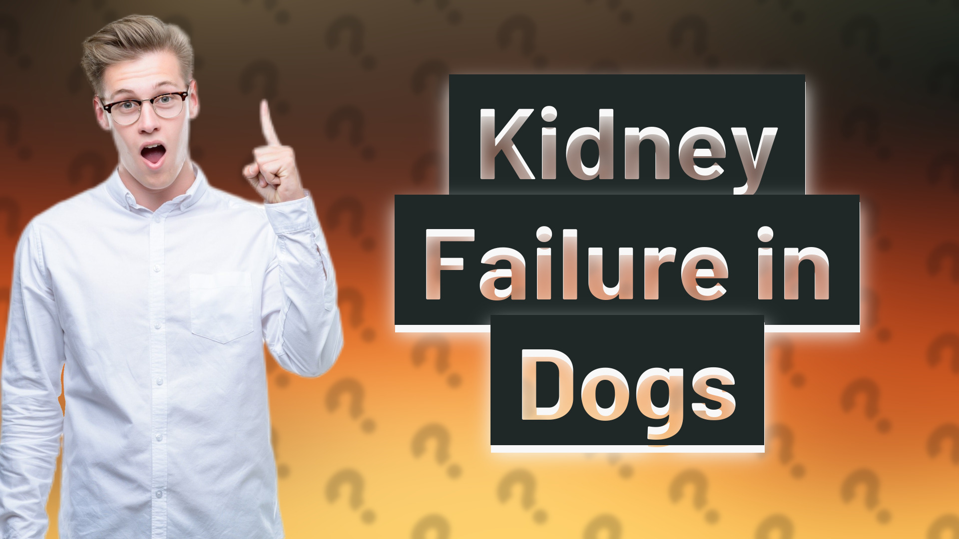 Kidney Failure in Dogs