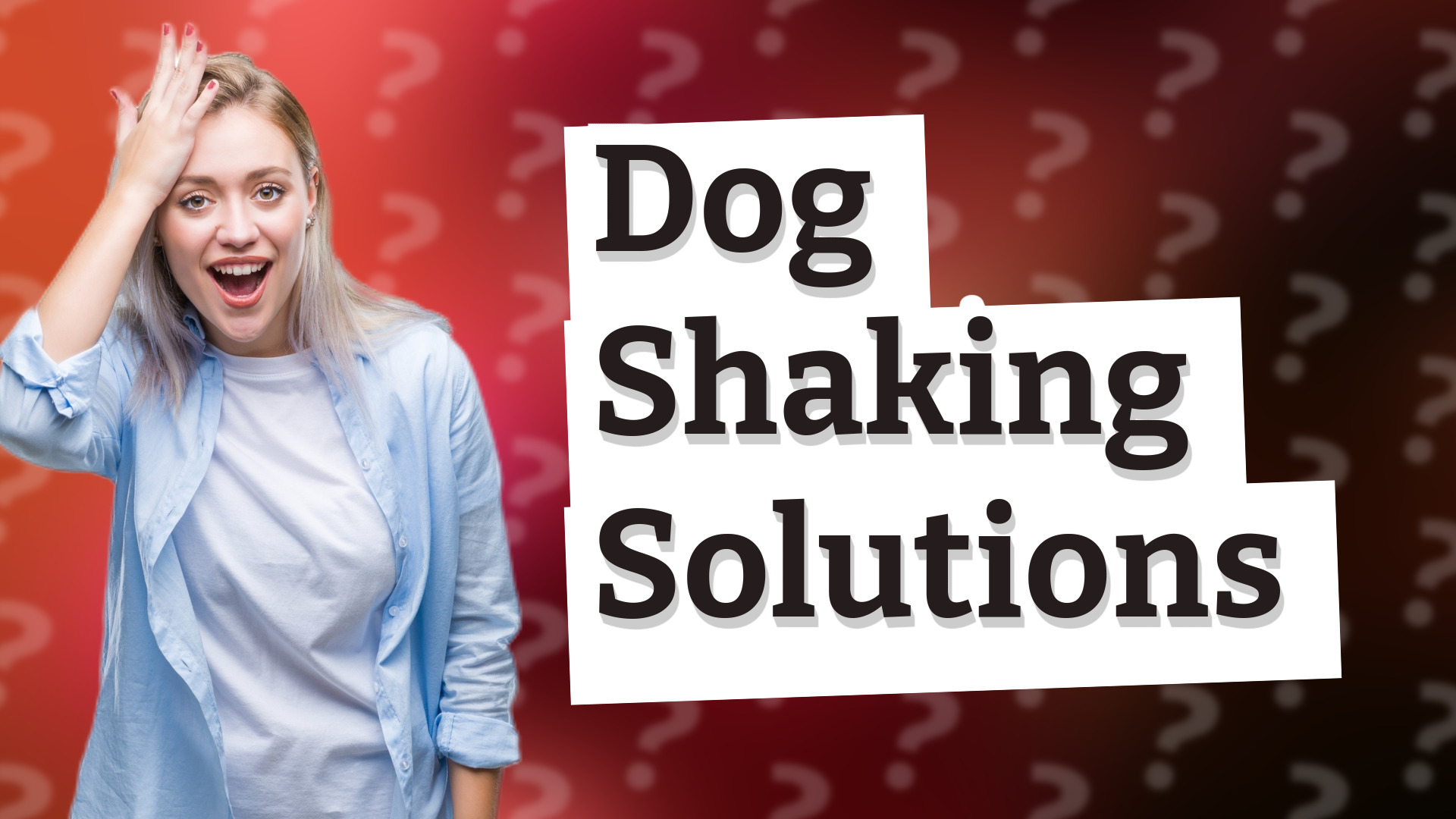 Dog Shaking Solutions