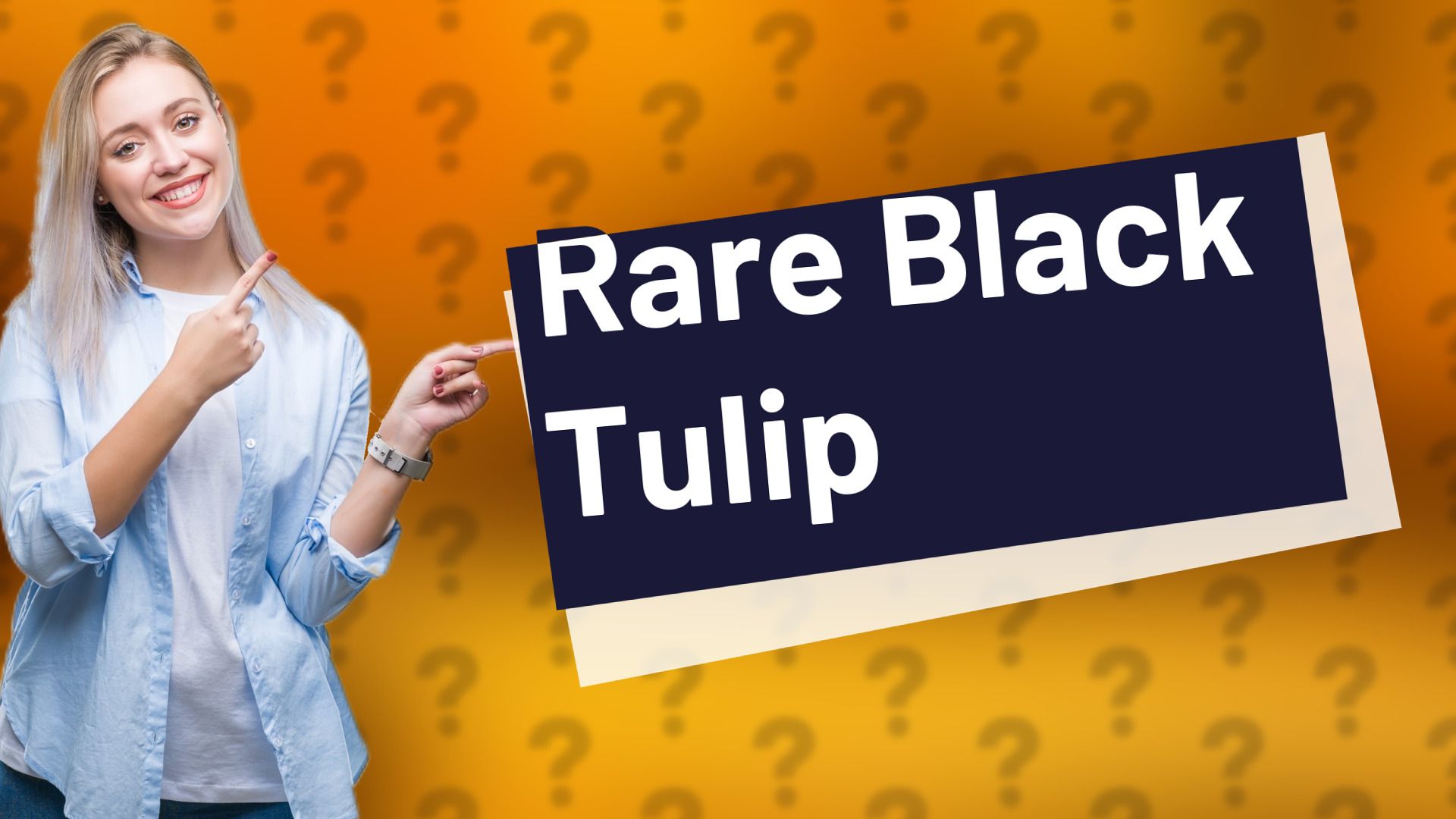 Rare Black Tulip