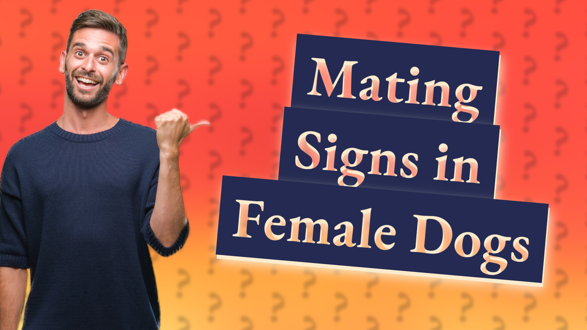 Mating Signs in Female Dogs