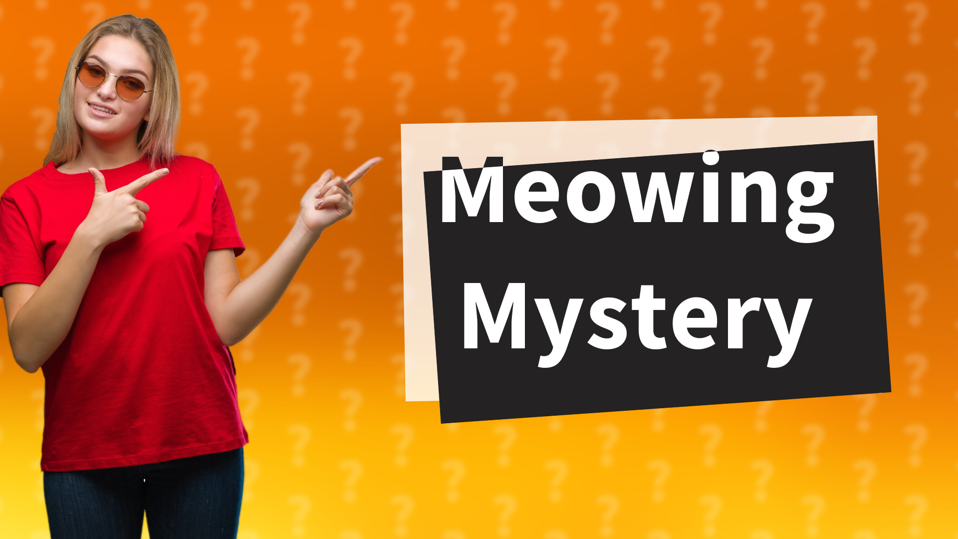 Meowing Mystery