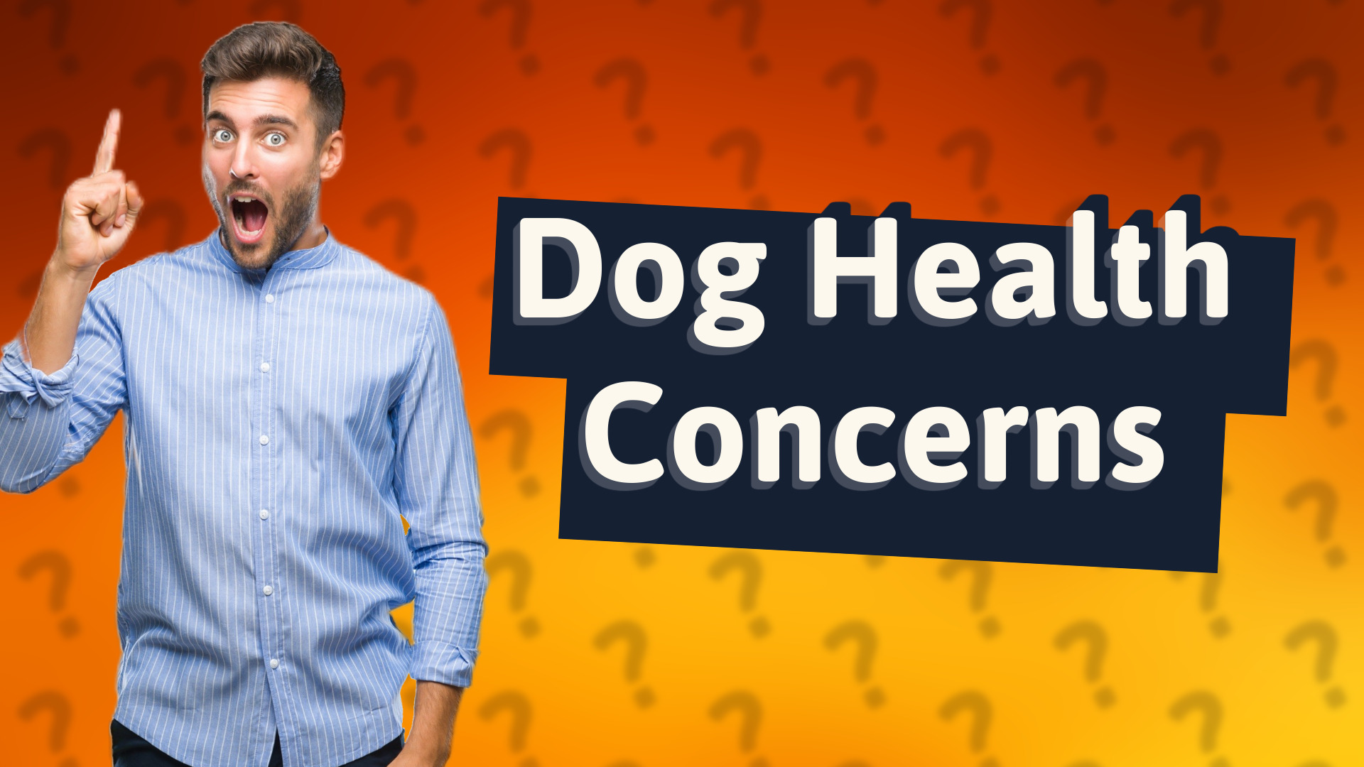 Dog Health Concerns