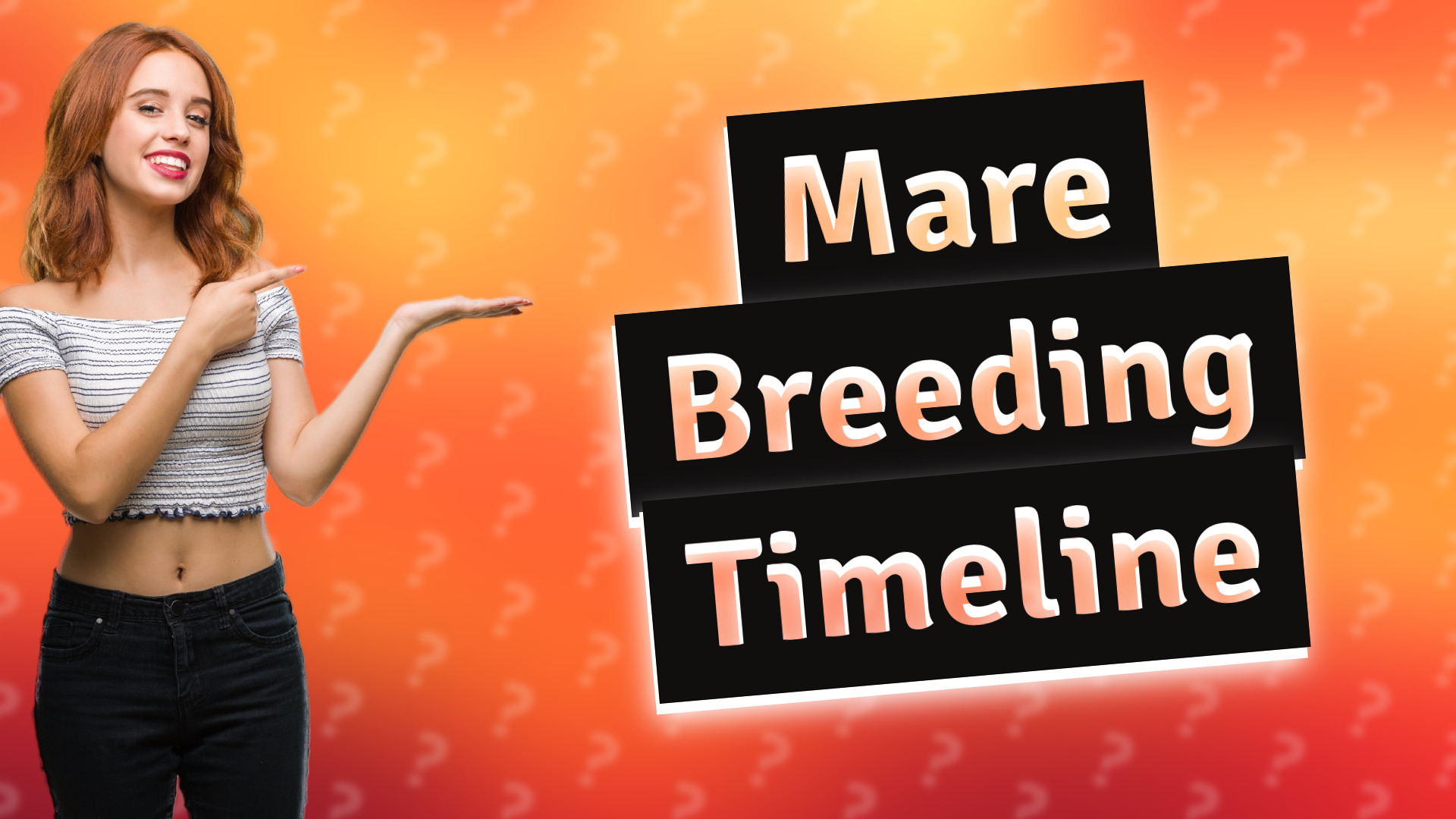 Mare Breeding Timeline