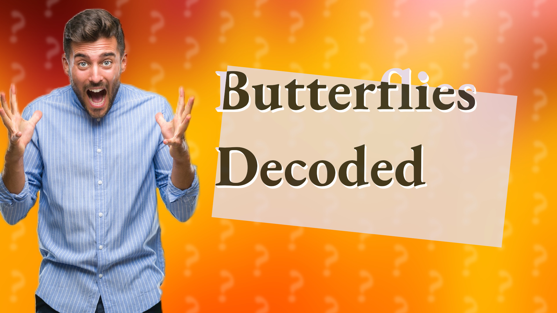 Butterflies Decoded