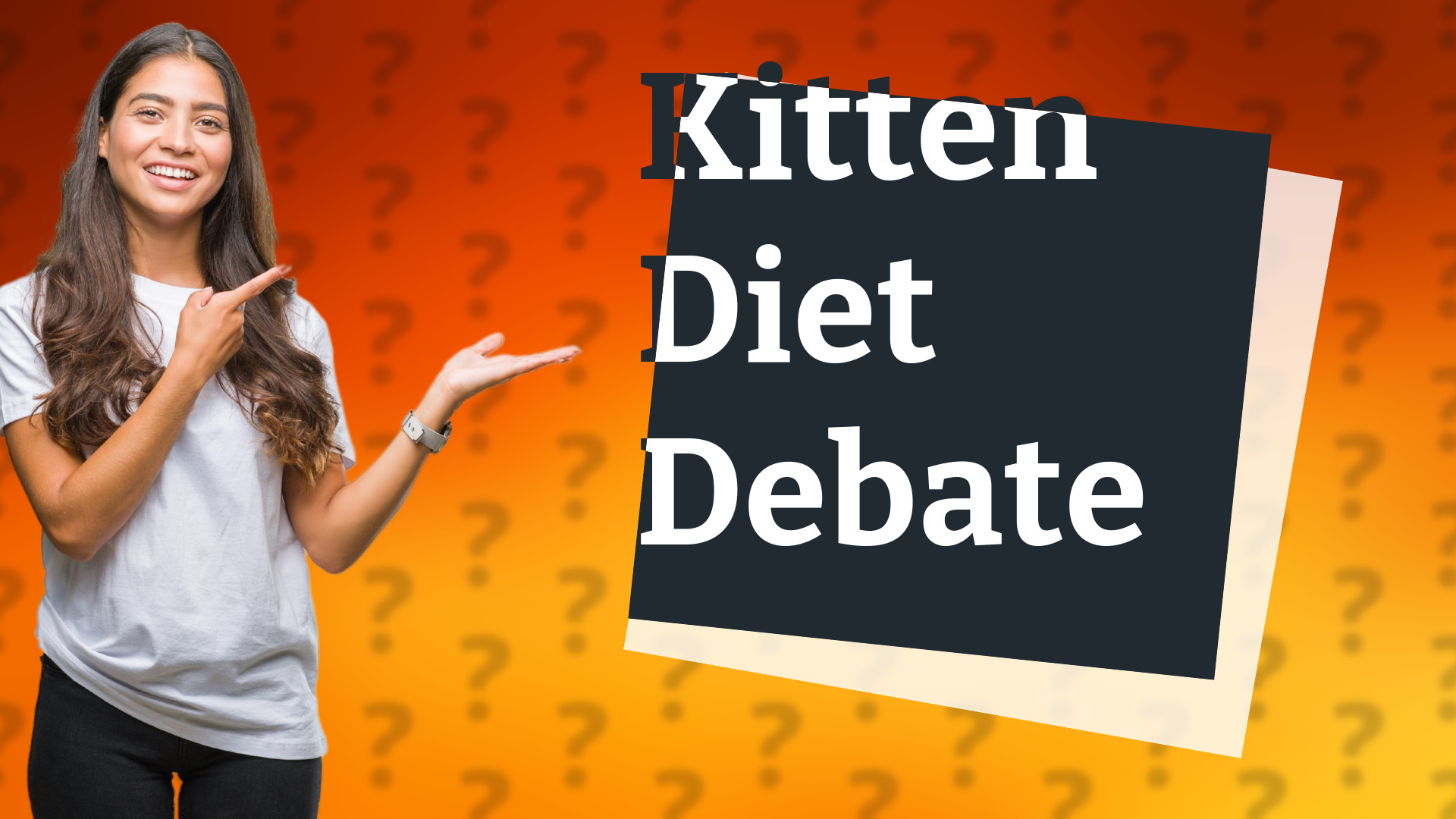 Kitten Diet Debate