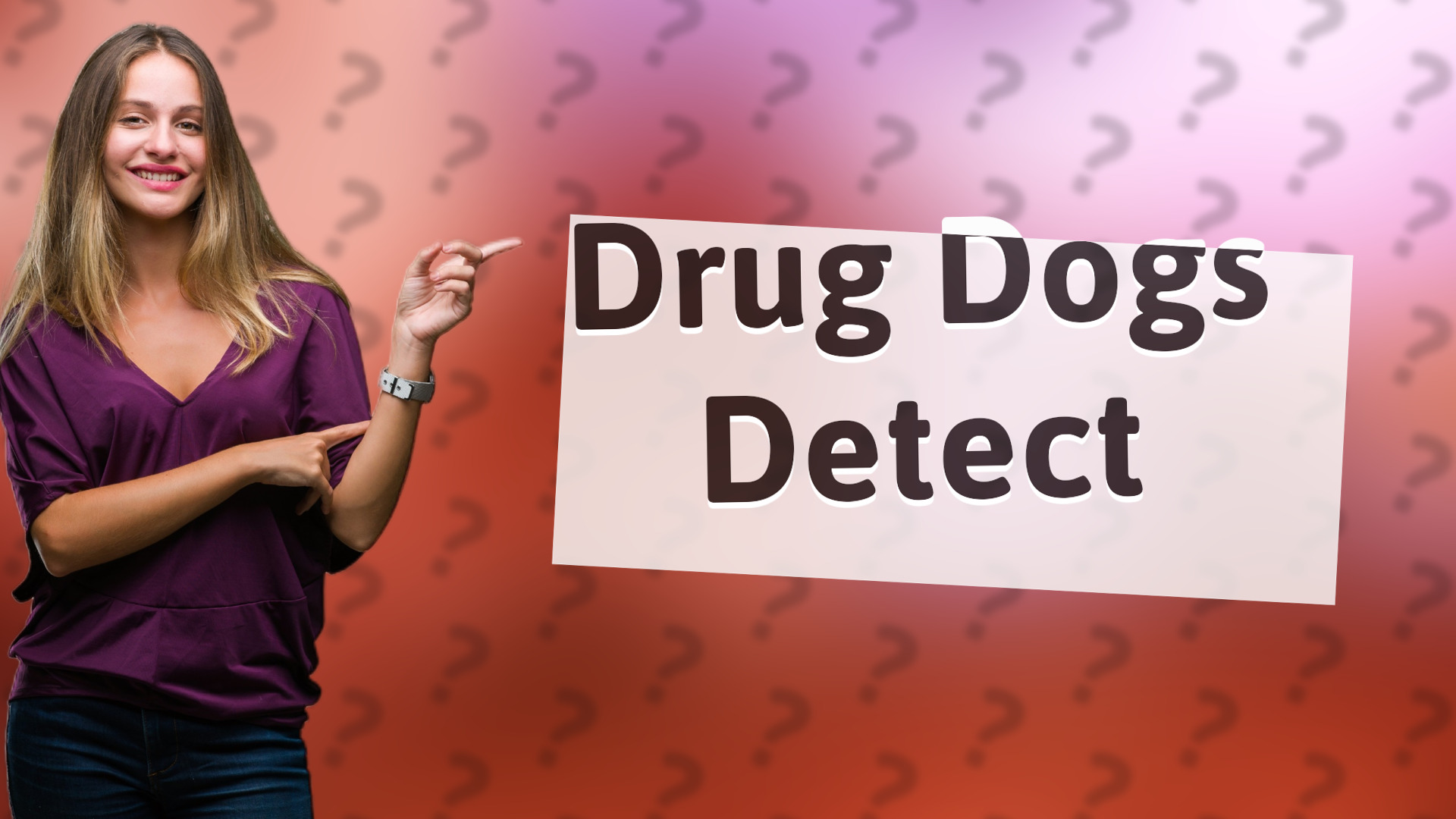 Drug Dogs Detect