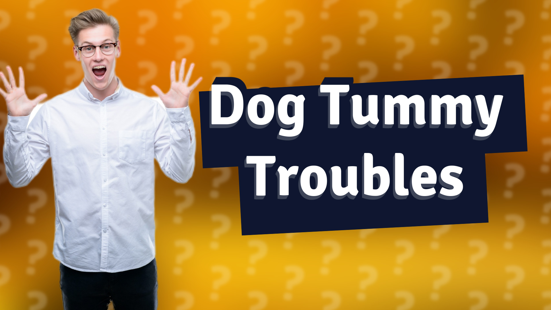 Dog Tummy Troubles