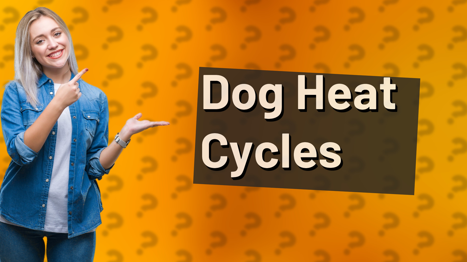 Dog Heat Cycles