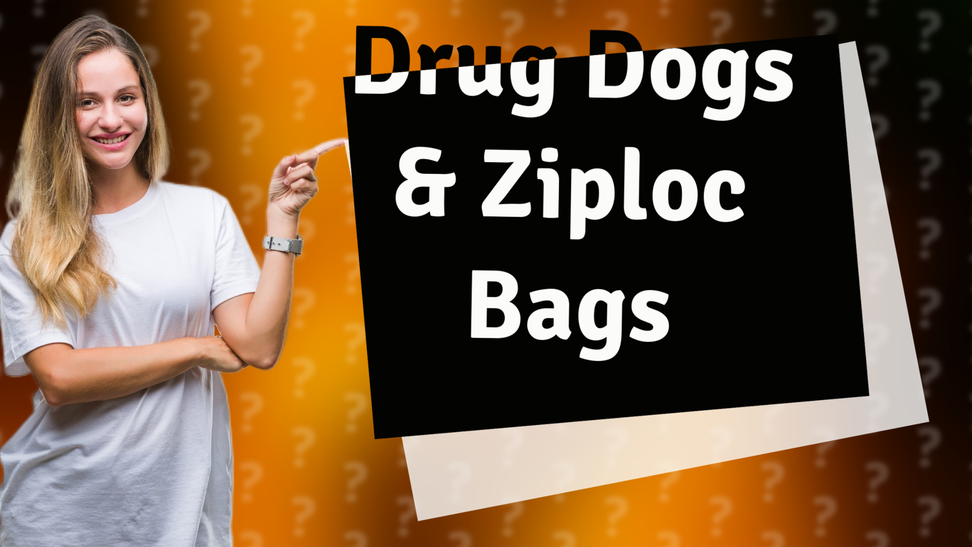 Drug Dogs & Ziploc Bags