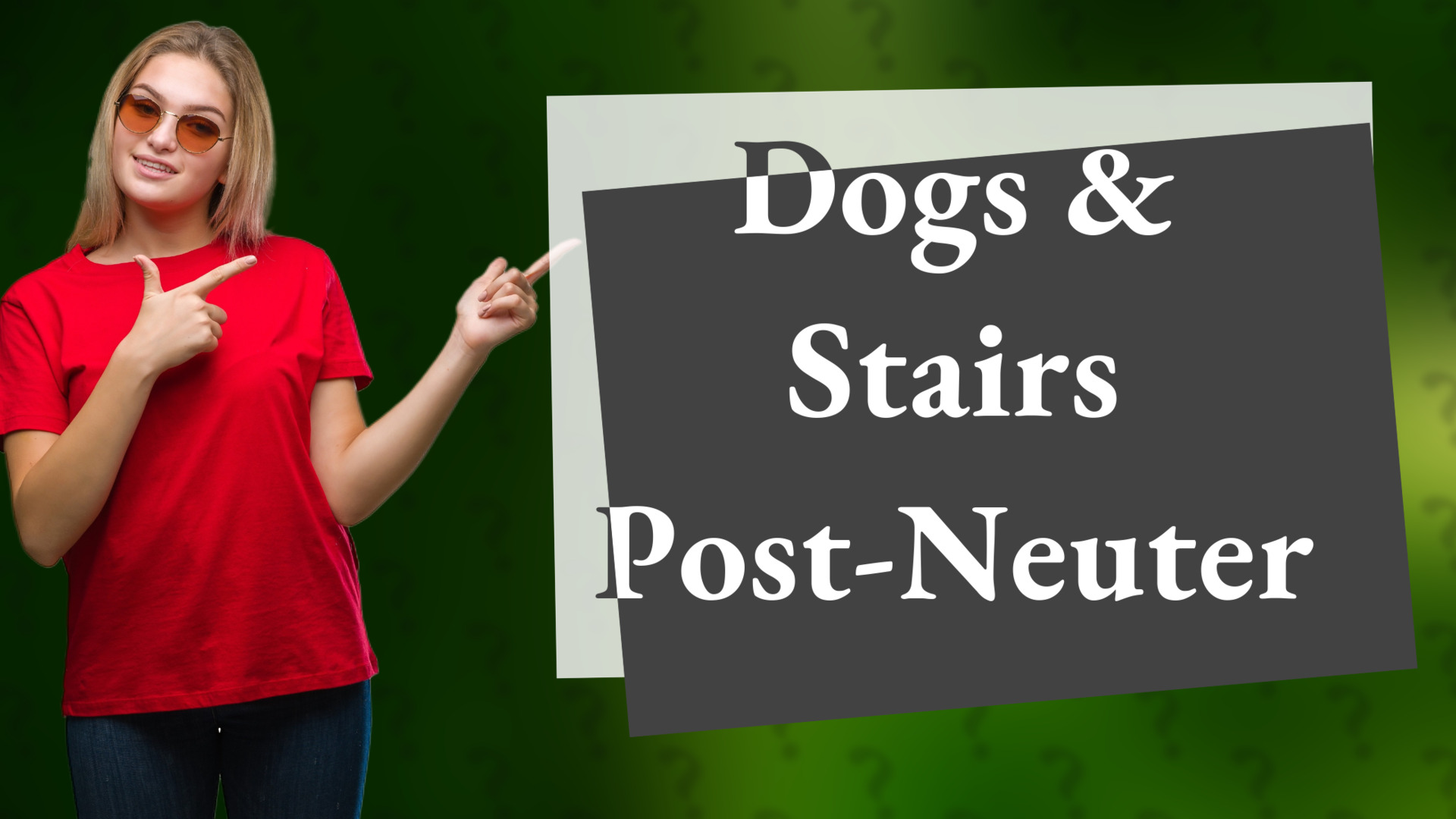 Dogs & Stairs Post-Neuter