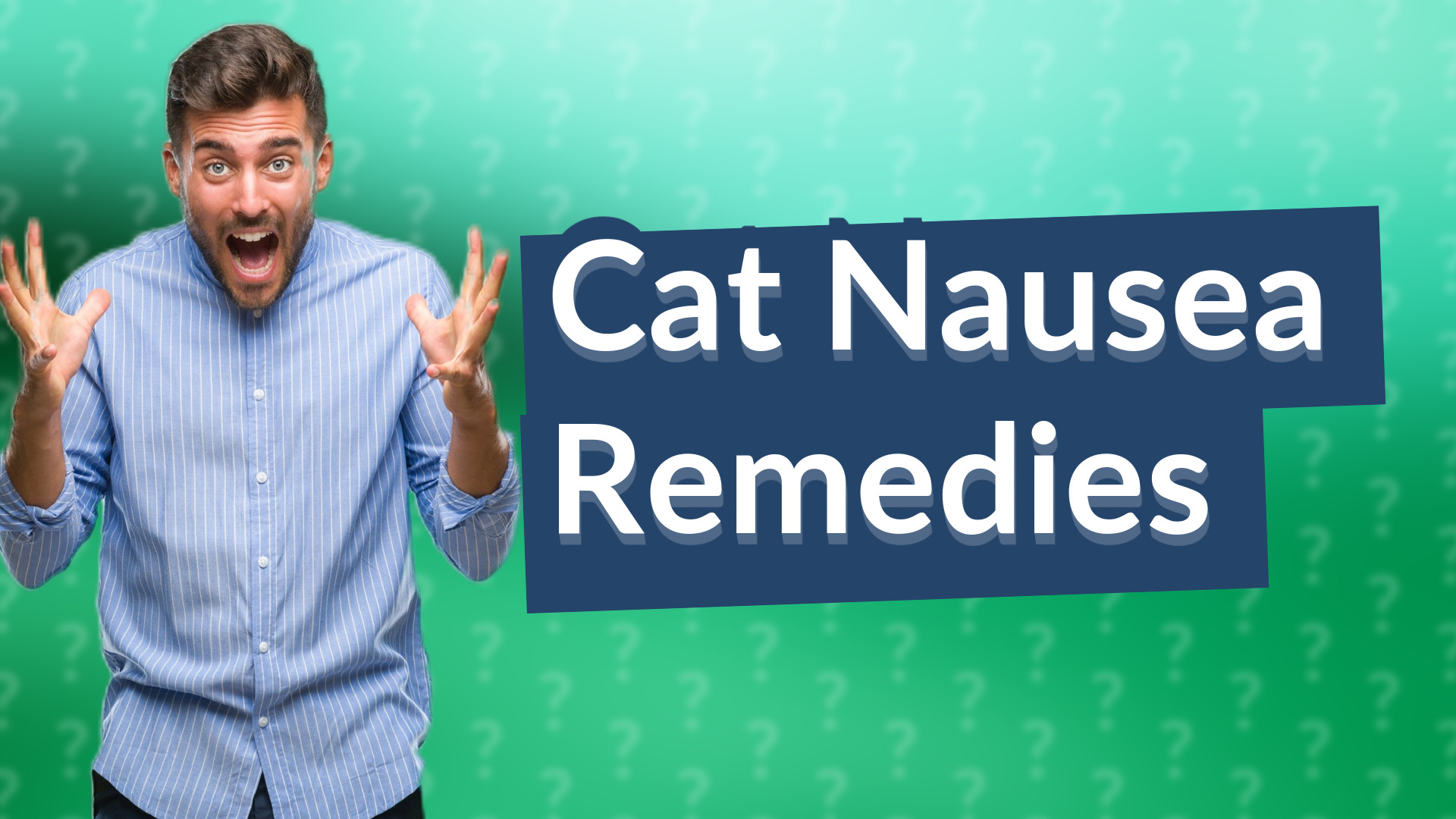 Cat Nausea Remedies
