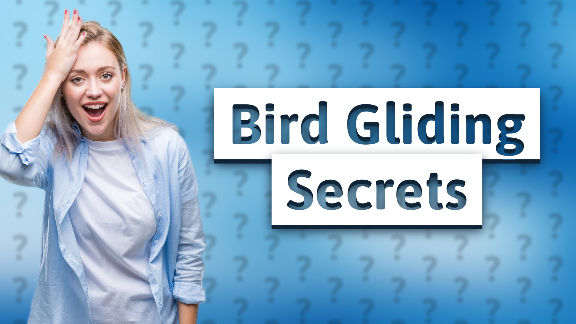 Bird Gliding Secrets