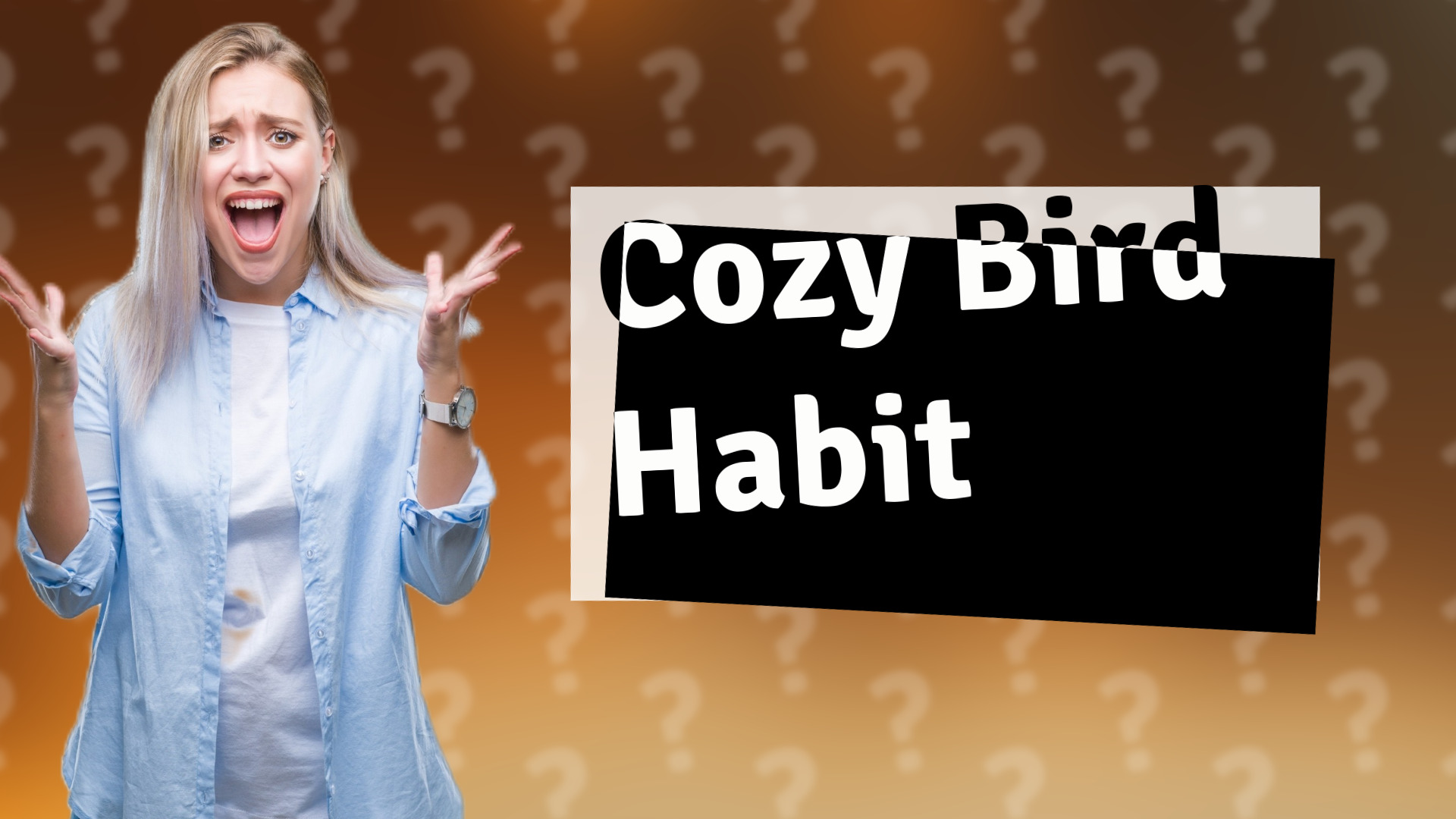 Cozy Bird Habit