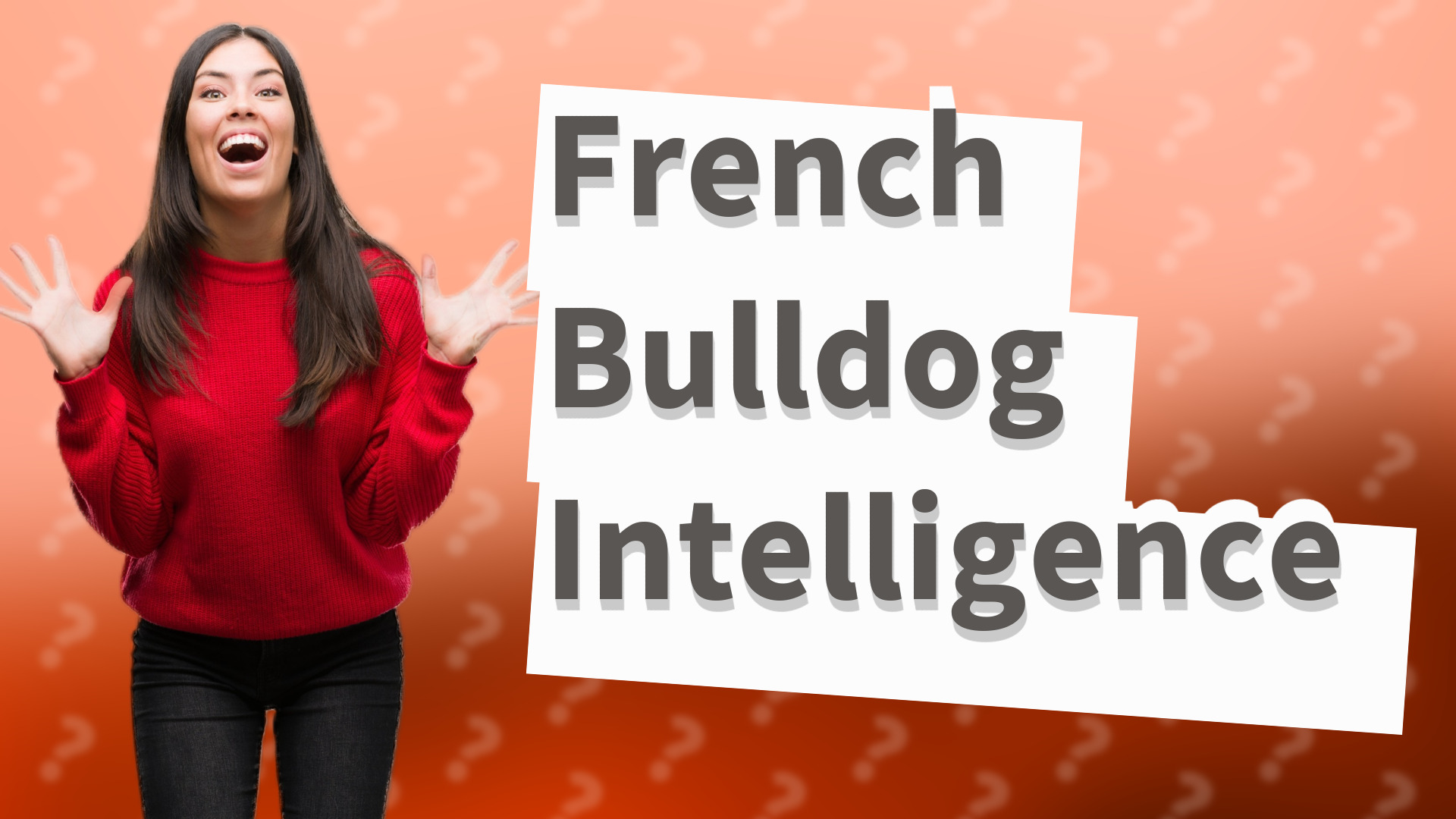 French Bulldog Intelligence
