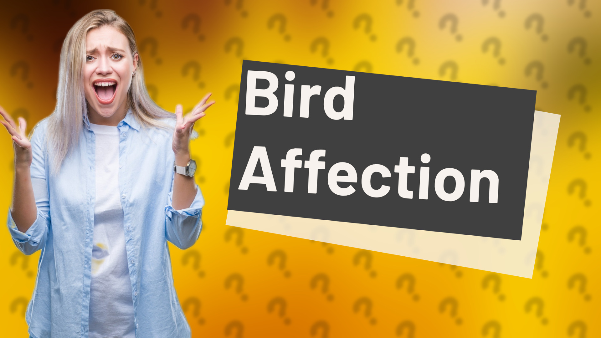 Bird Affection