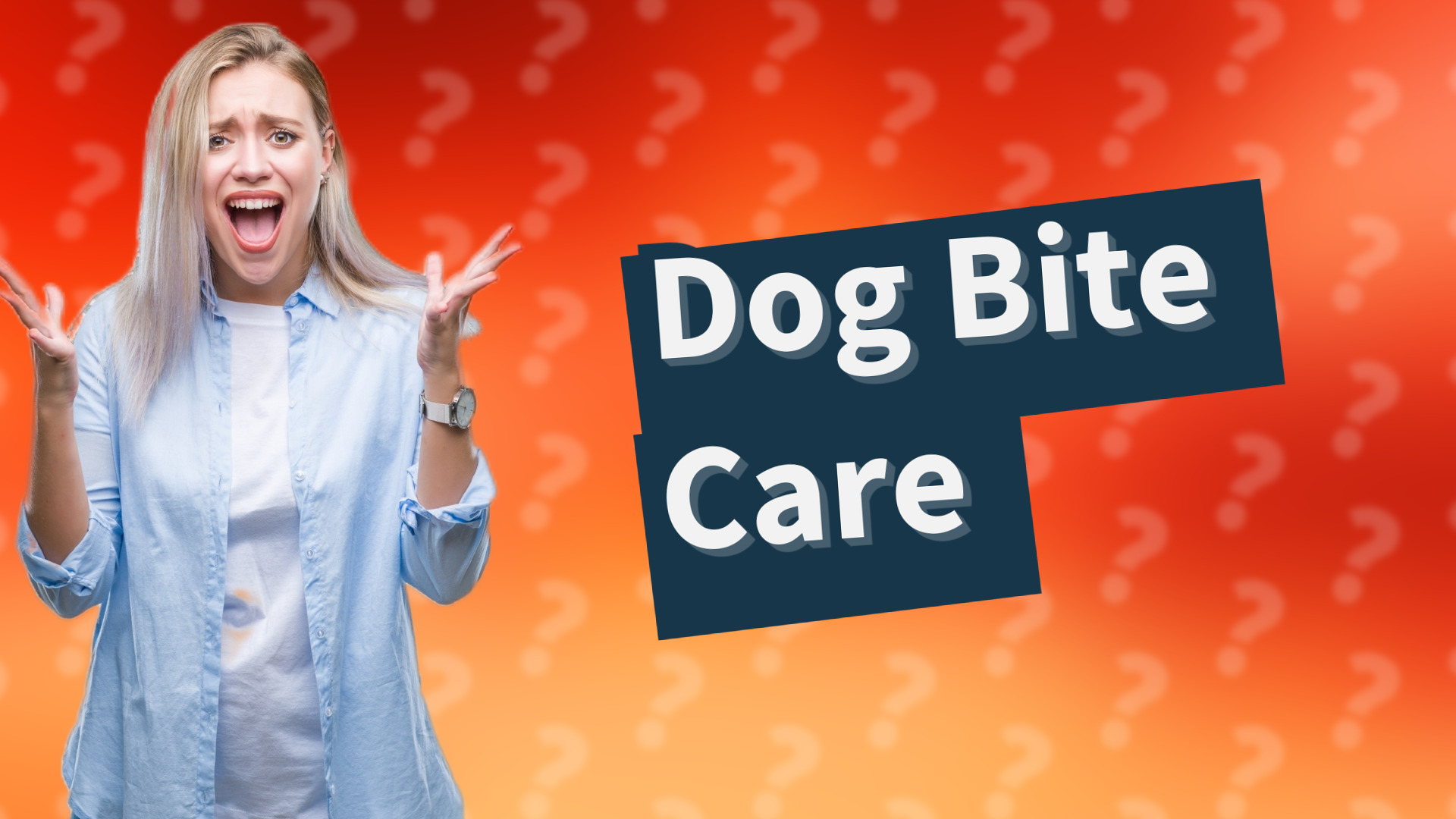 Dog Bite Care