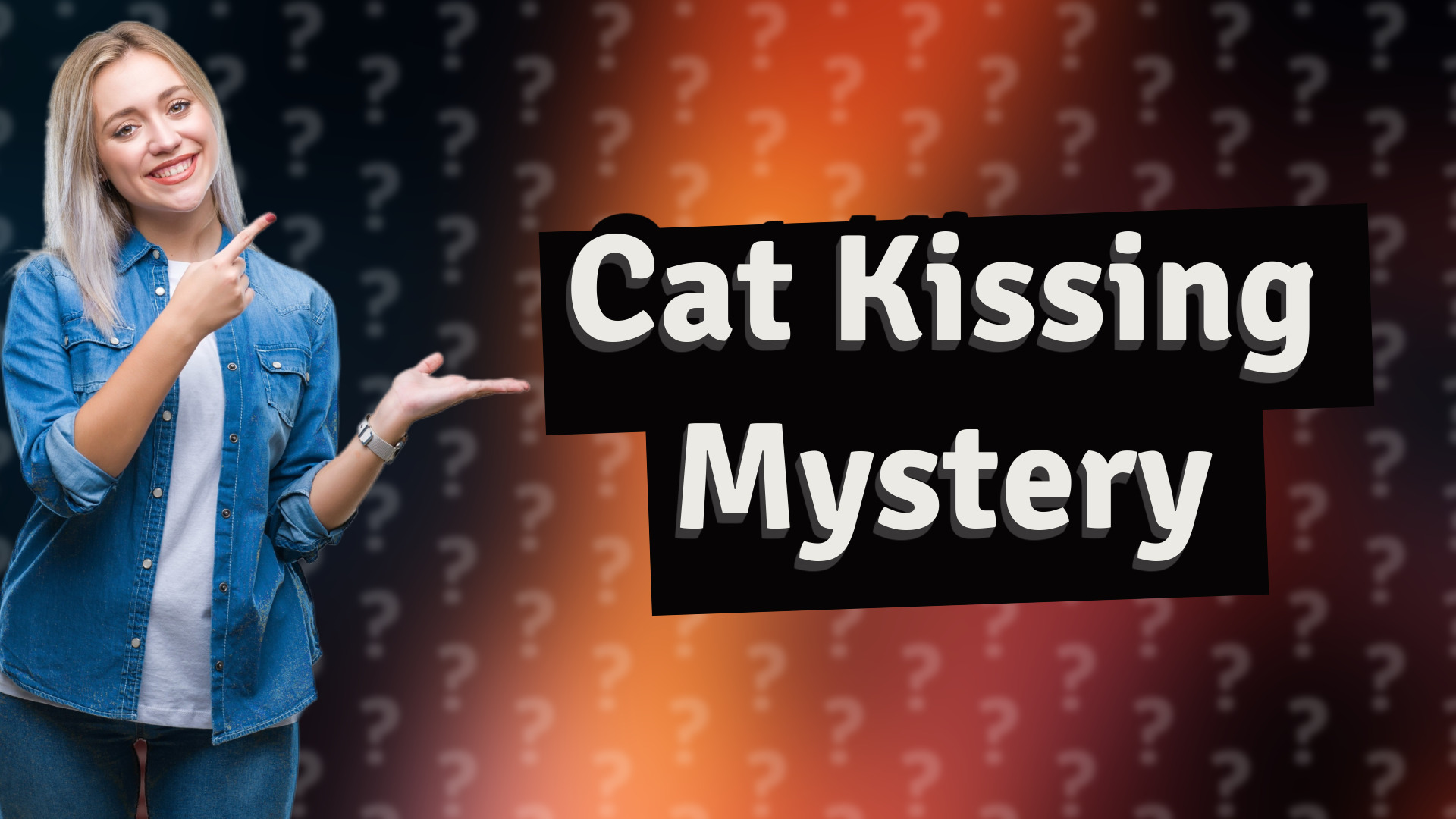 Cat Kissing Mystery