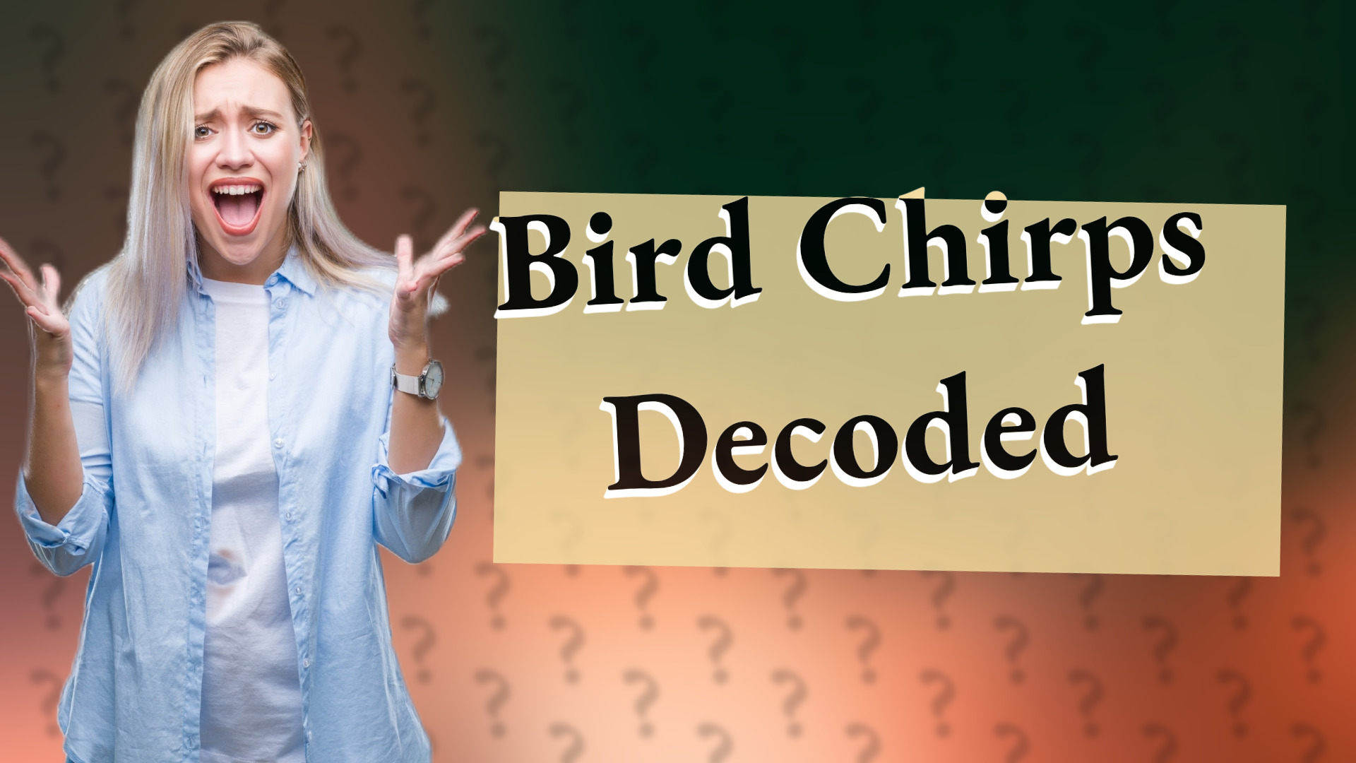 Bird Chirps Decoded