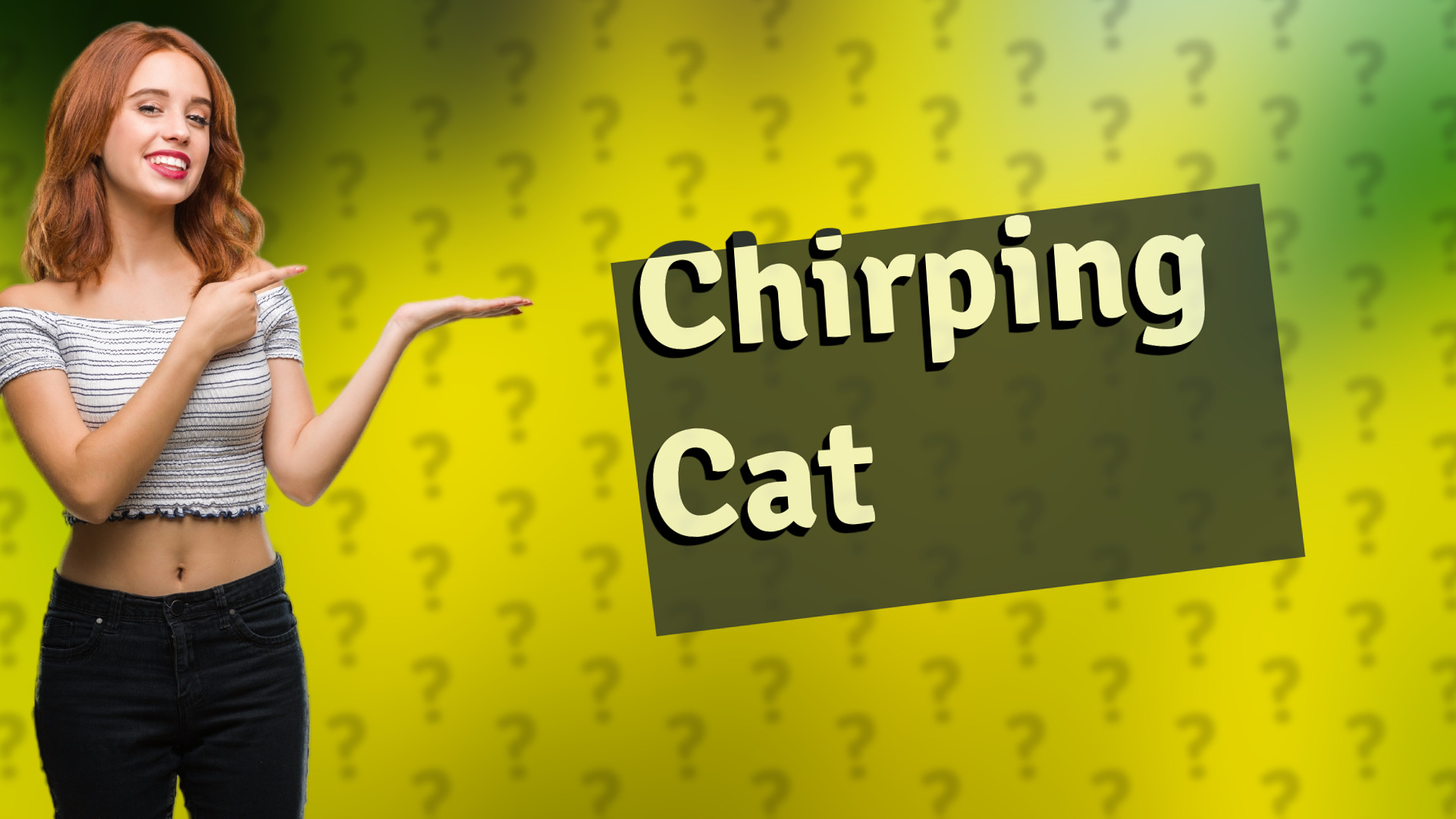 Chirping Cat