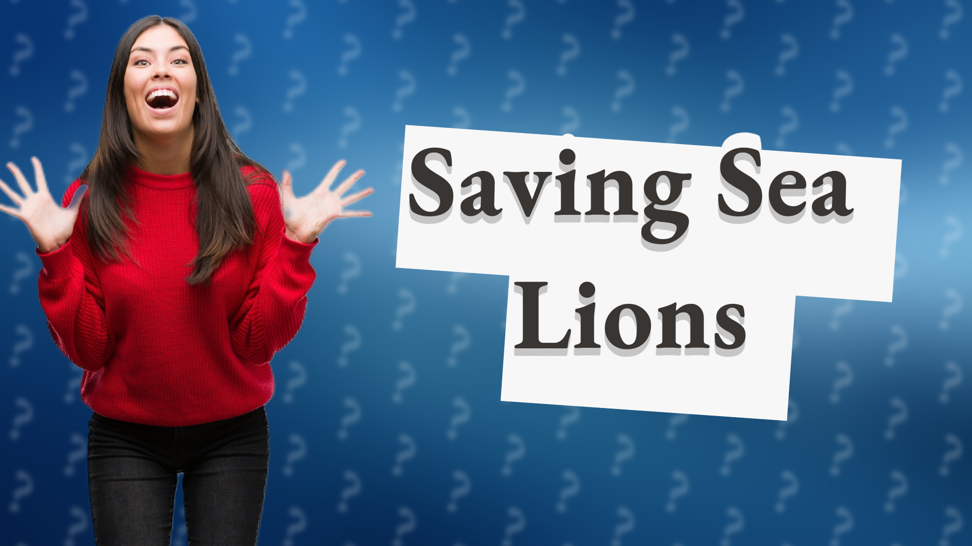 Saving Sea Lions
