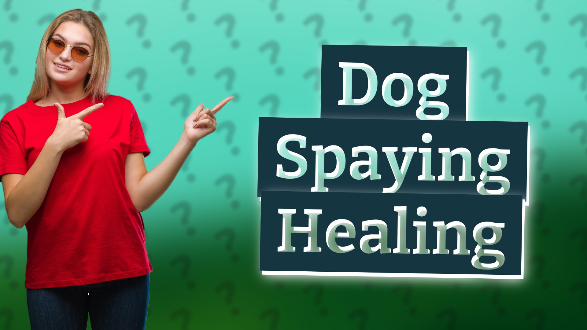 Dog Spaying Healing
