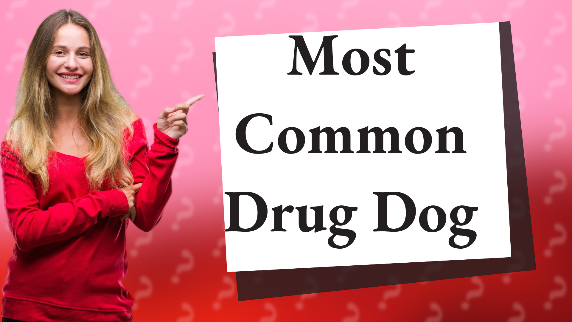 Most Common Drug Dog