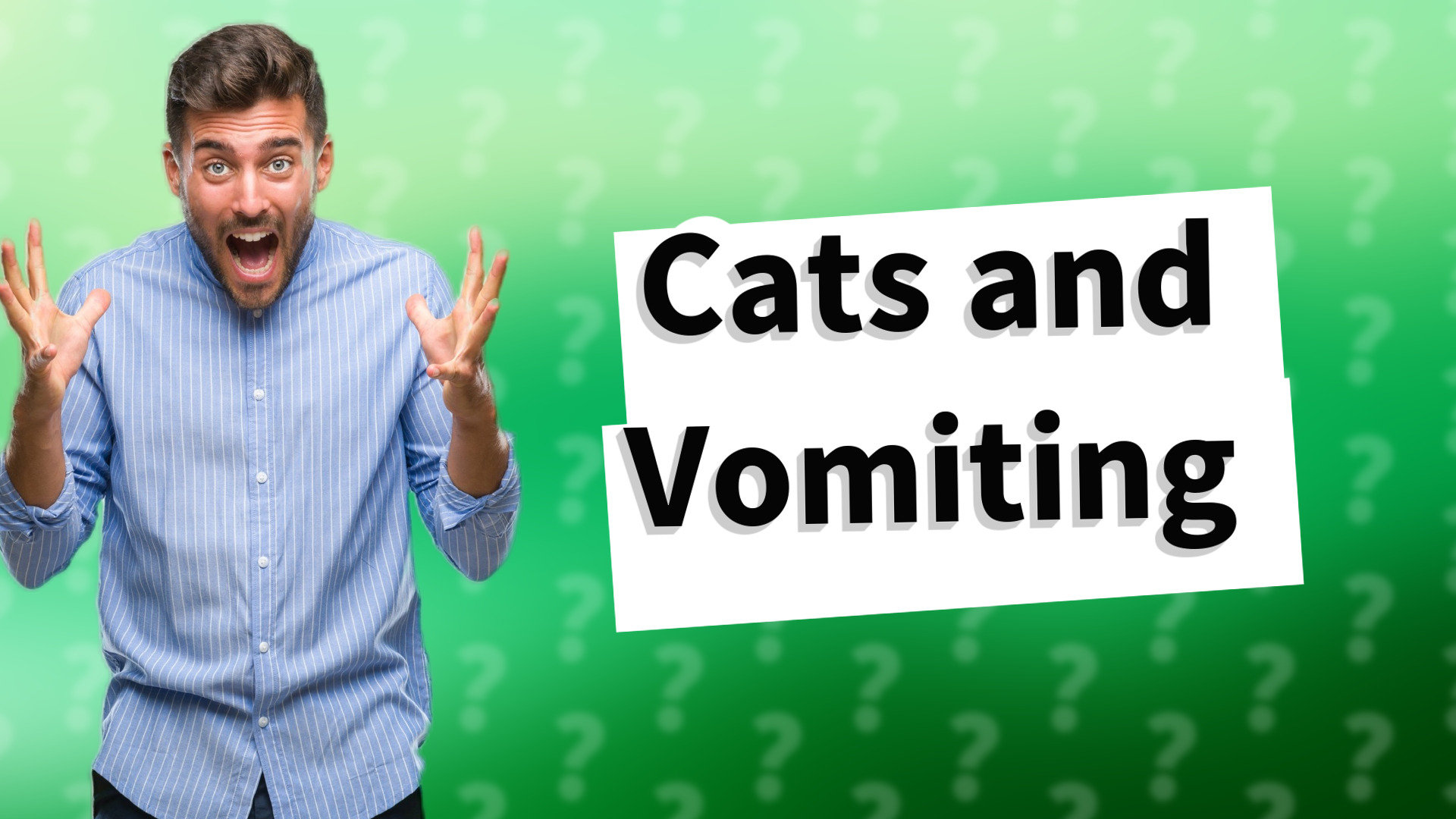 Cats and Vomiting