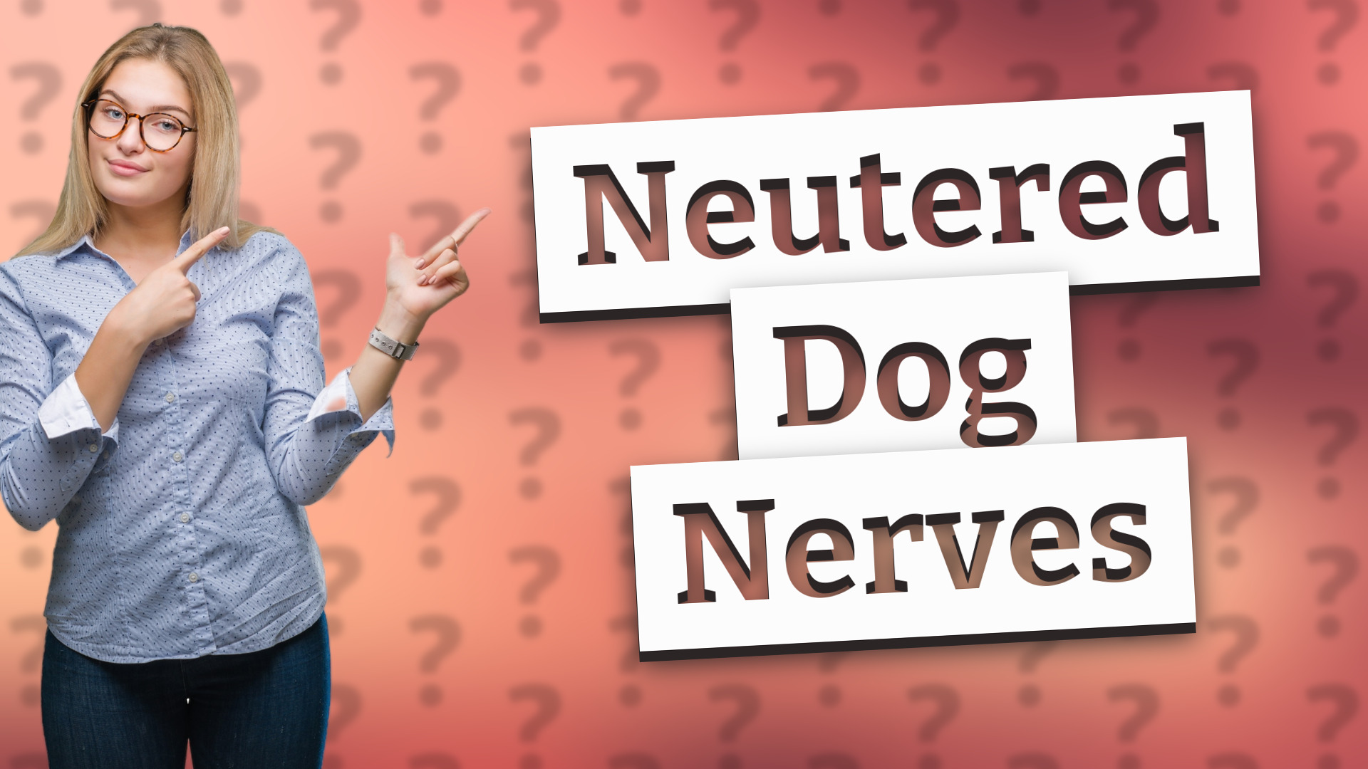 Neutered Dog Nerves