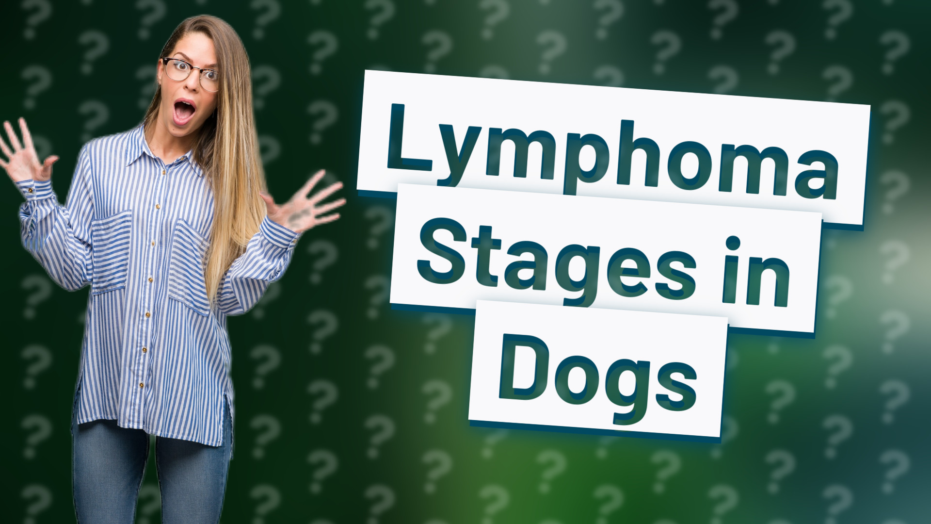 Lymphoma Stages in Dogs