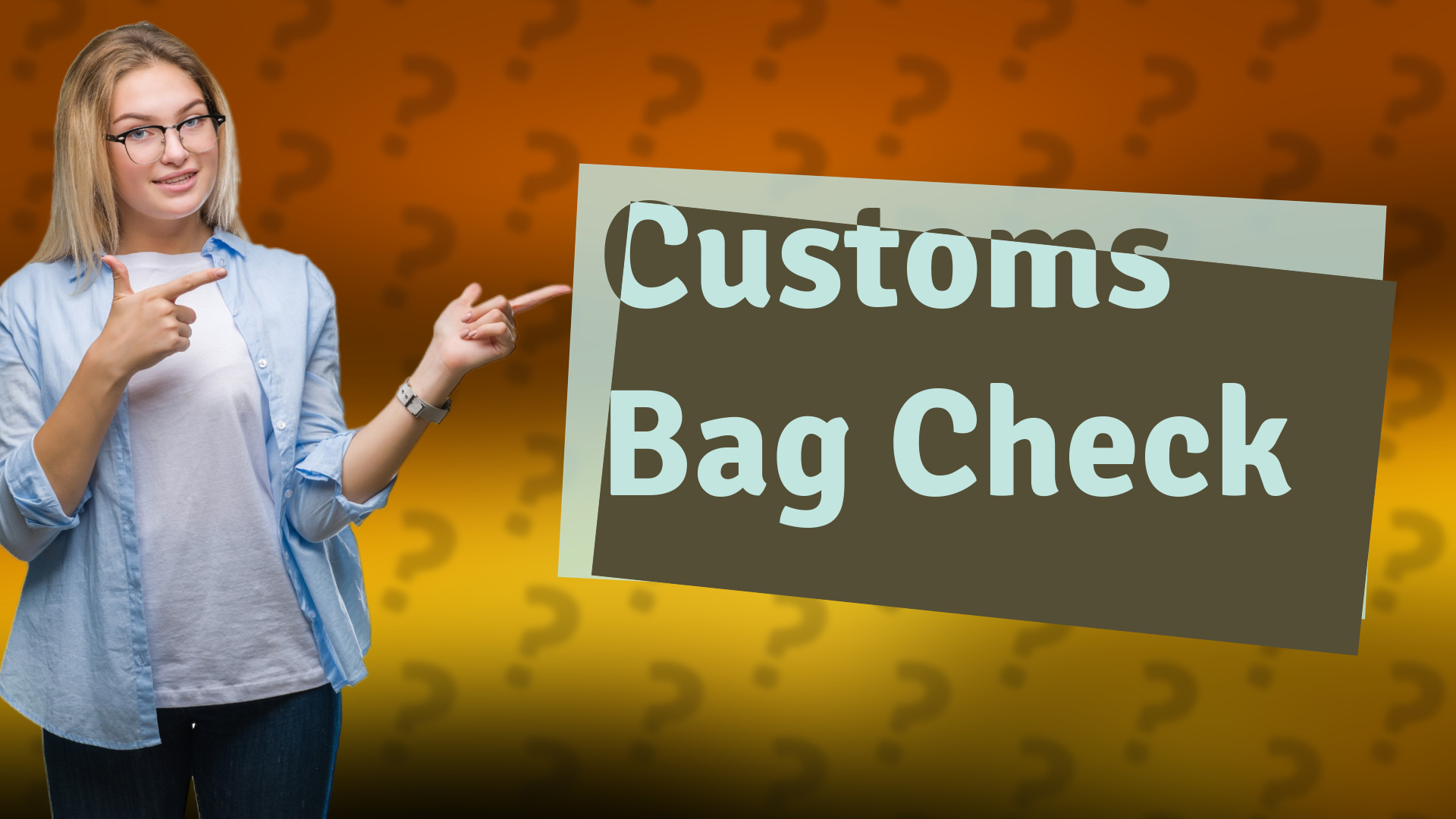 Customs Bag Check