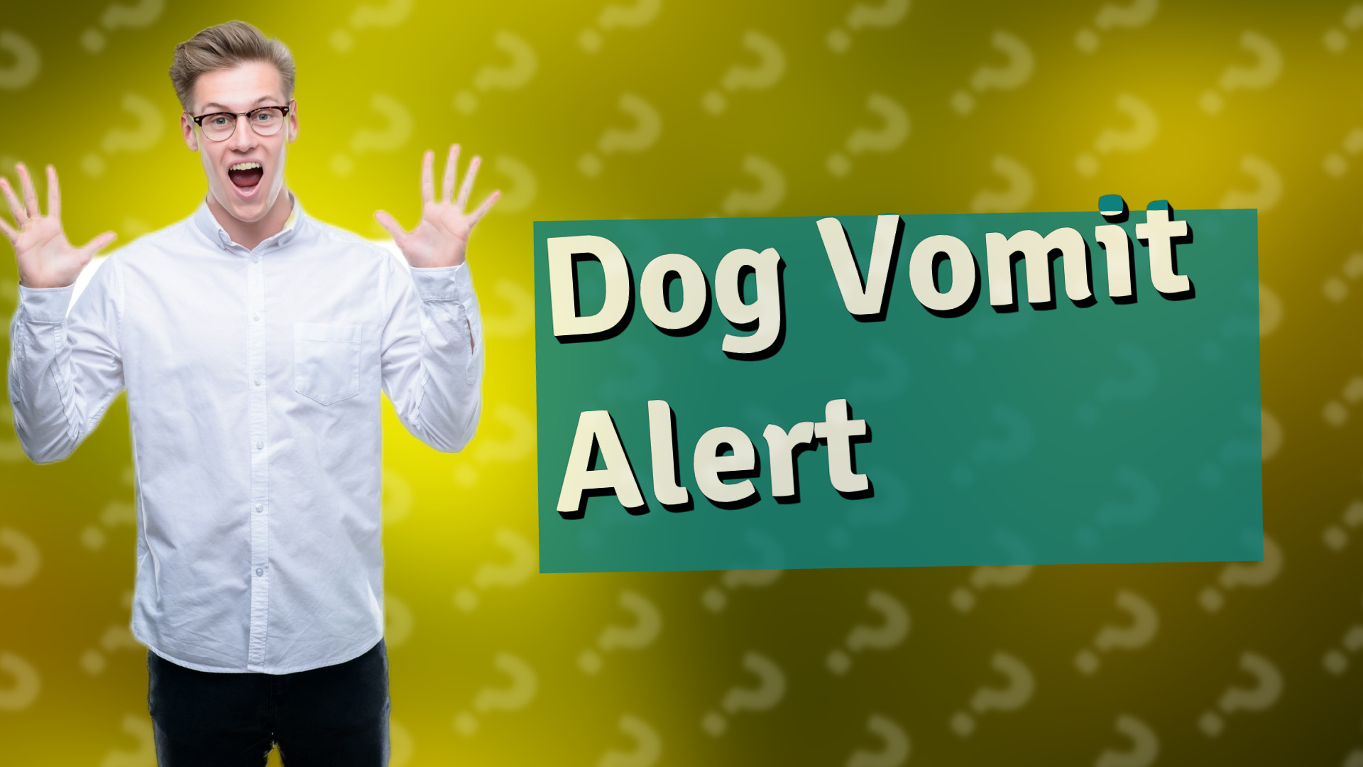 Dog Vomit Alert