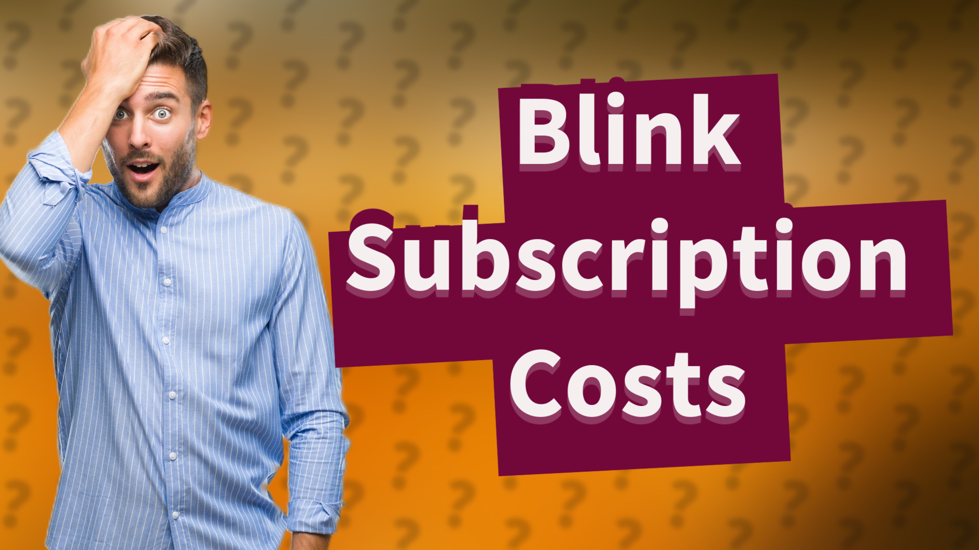 Blink Subscription Costs