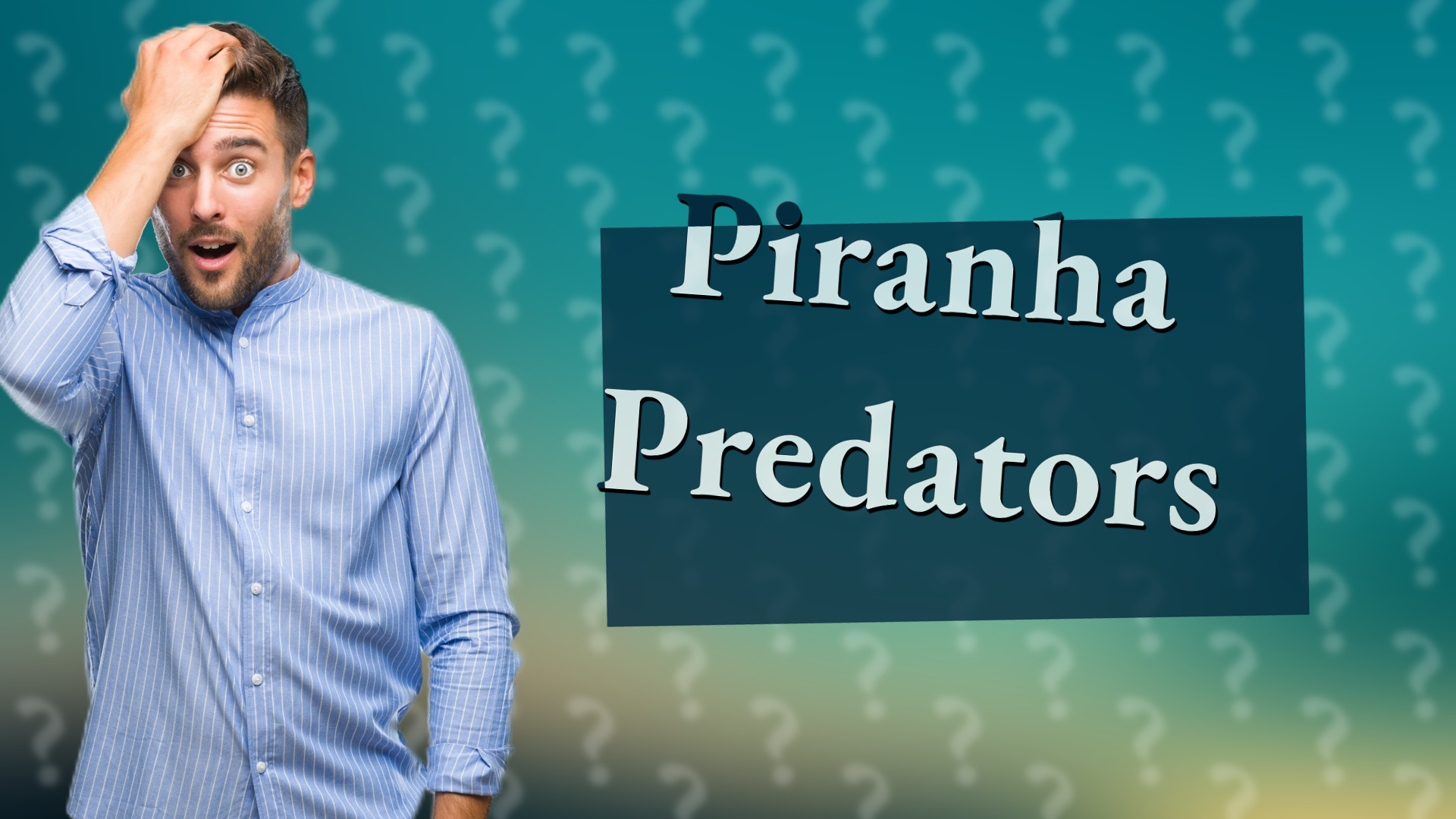 Piranha Predators