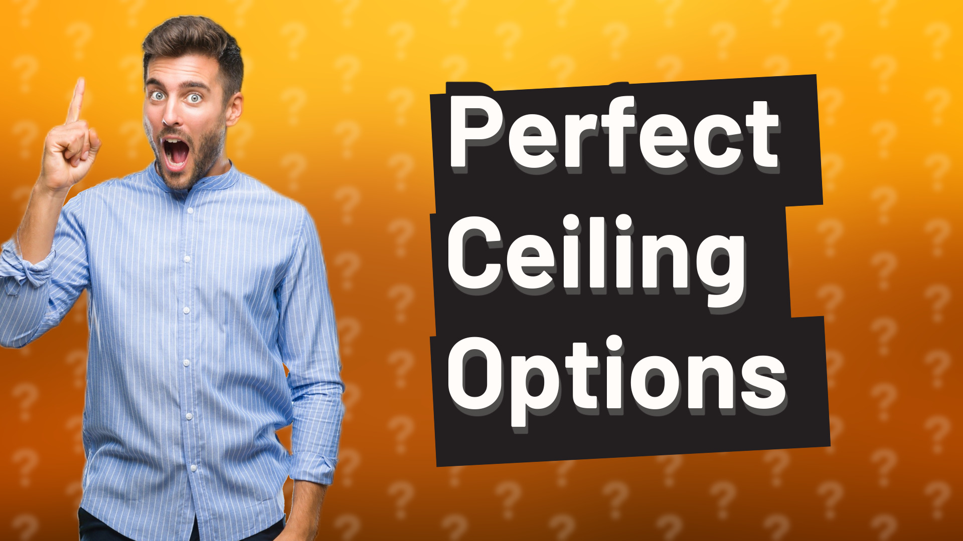 Perfect Ceiling Options