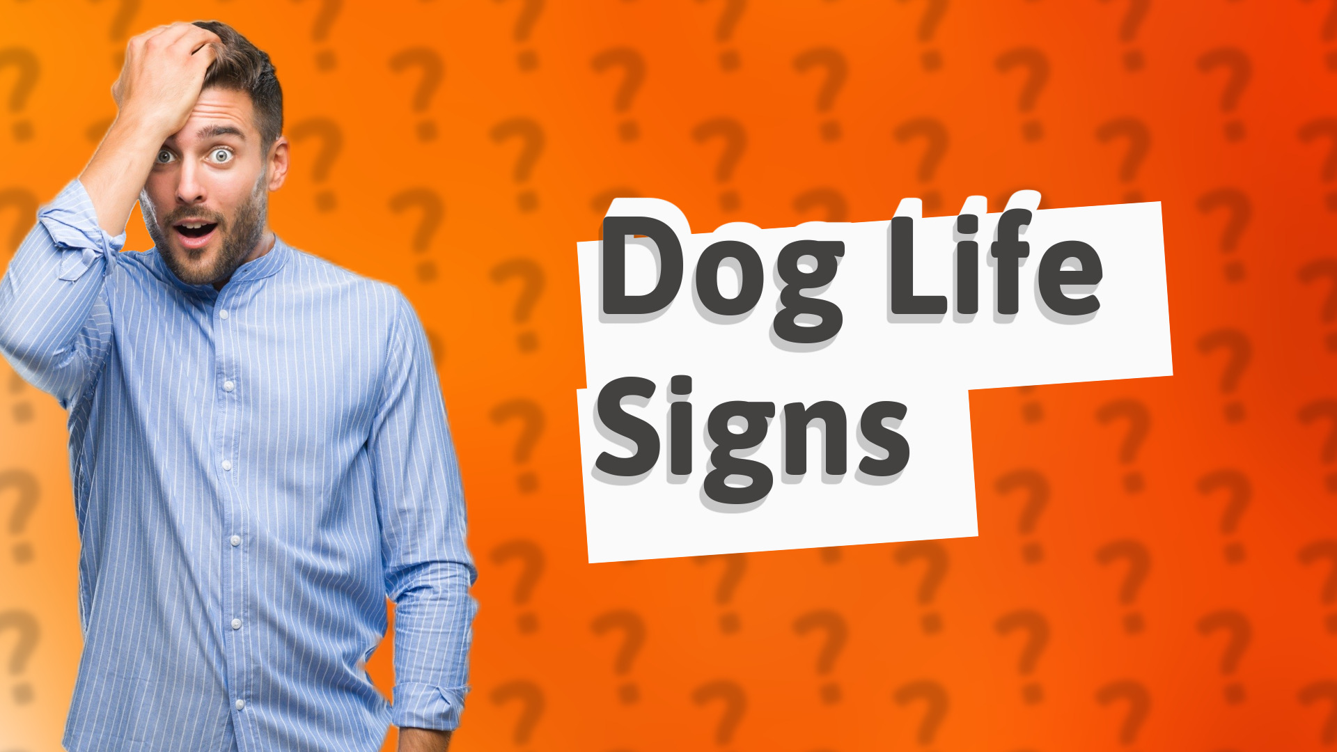 Dog Life Signs