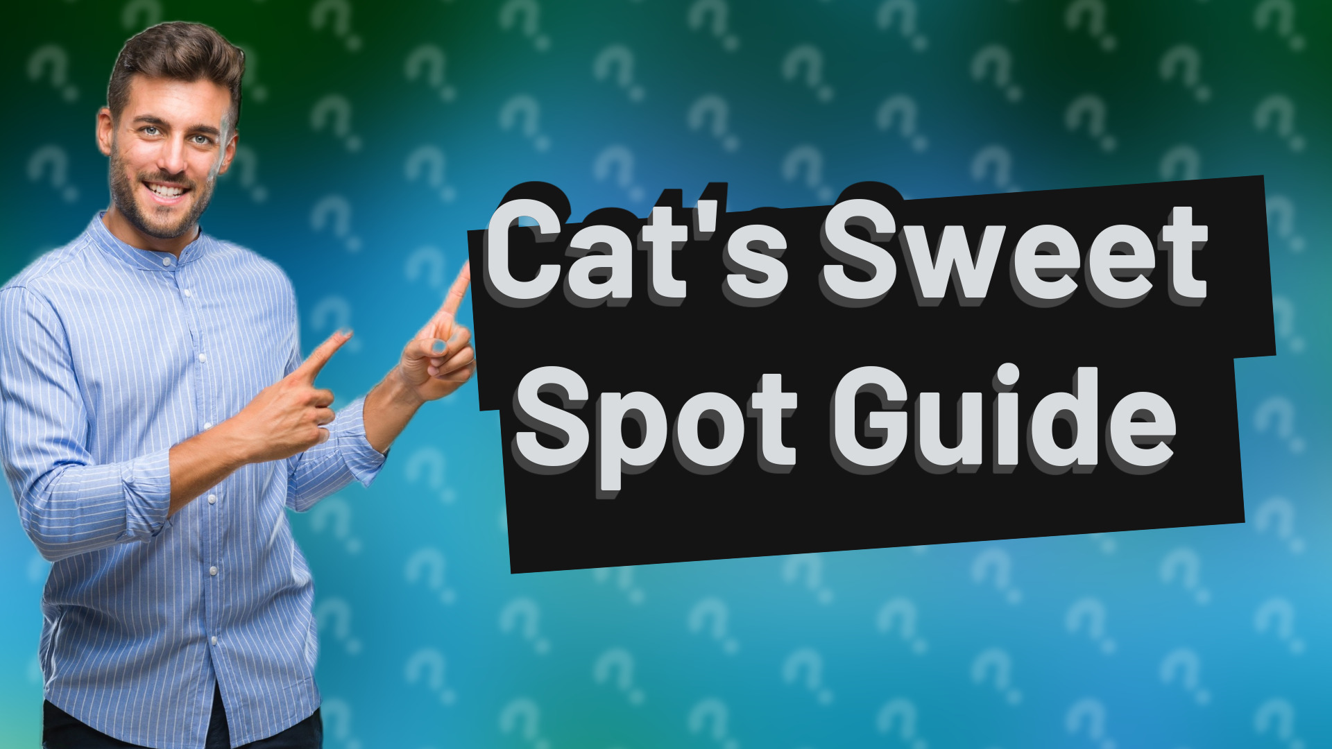 Cat's Sweet Spot Guide