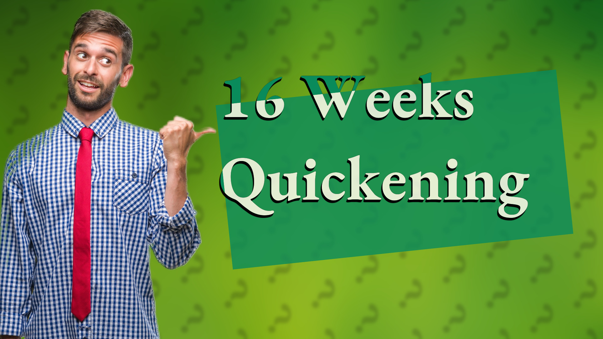 16 Weeks Quickening