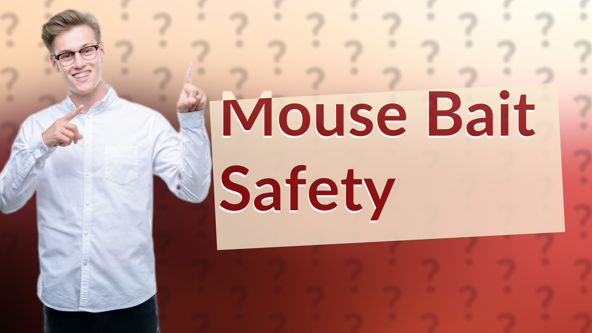 Mouse Bait Safety