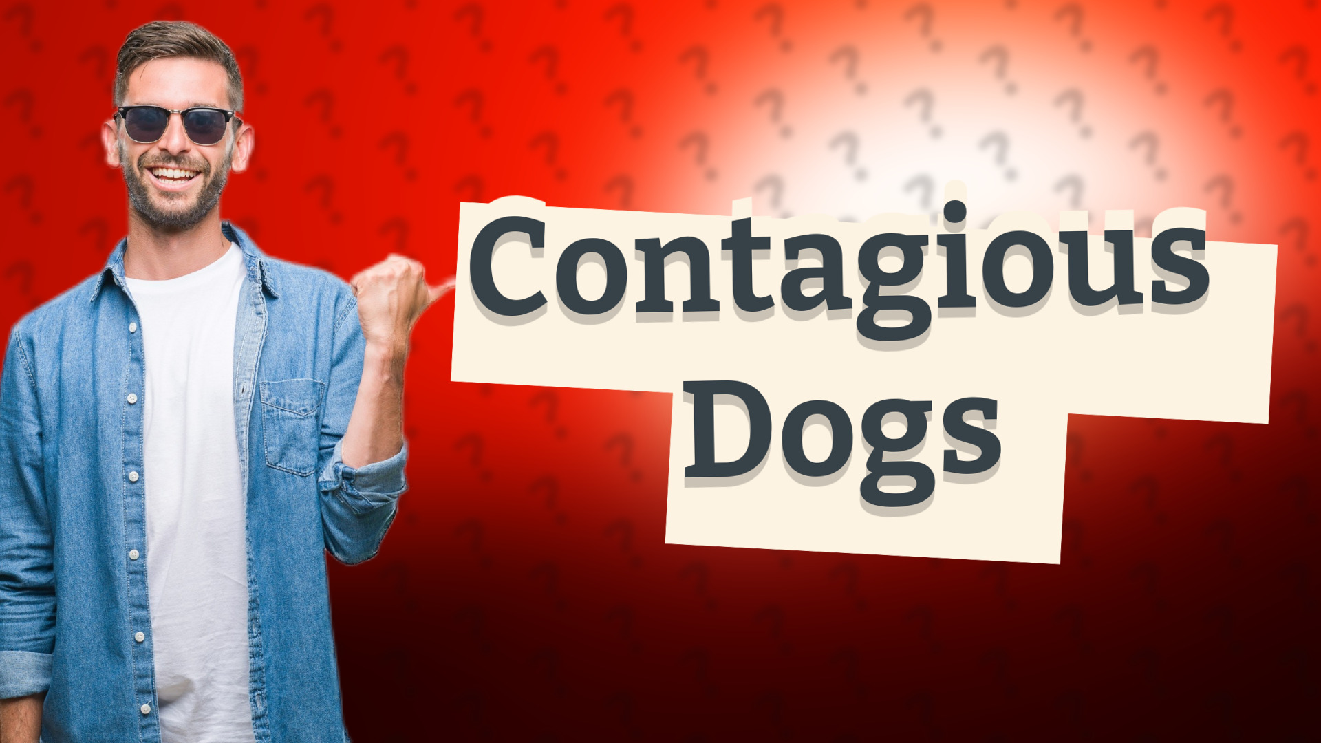 Contagious Dogs