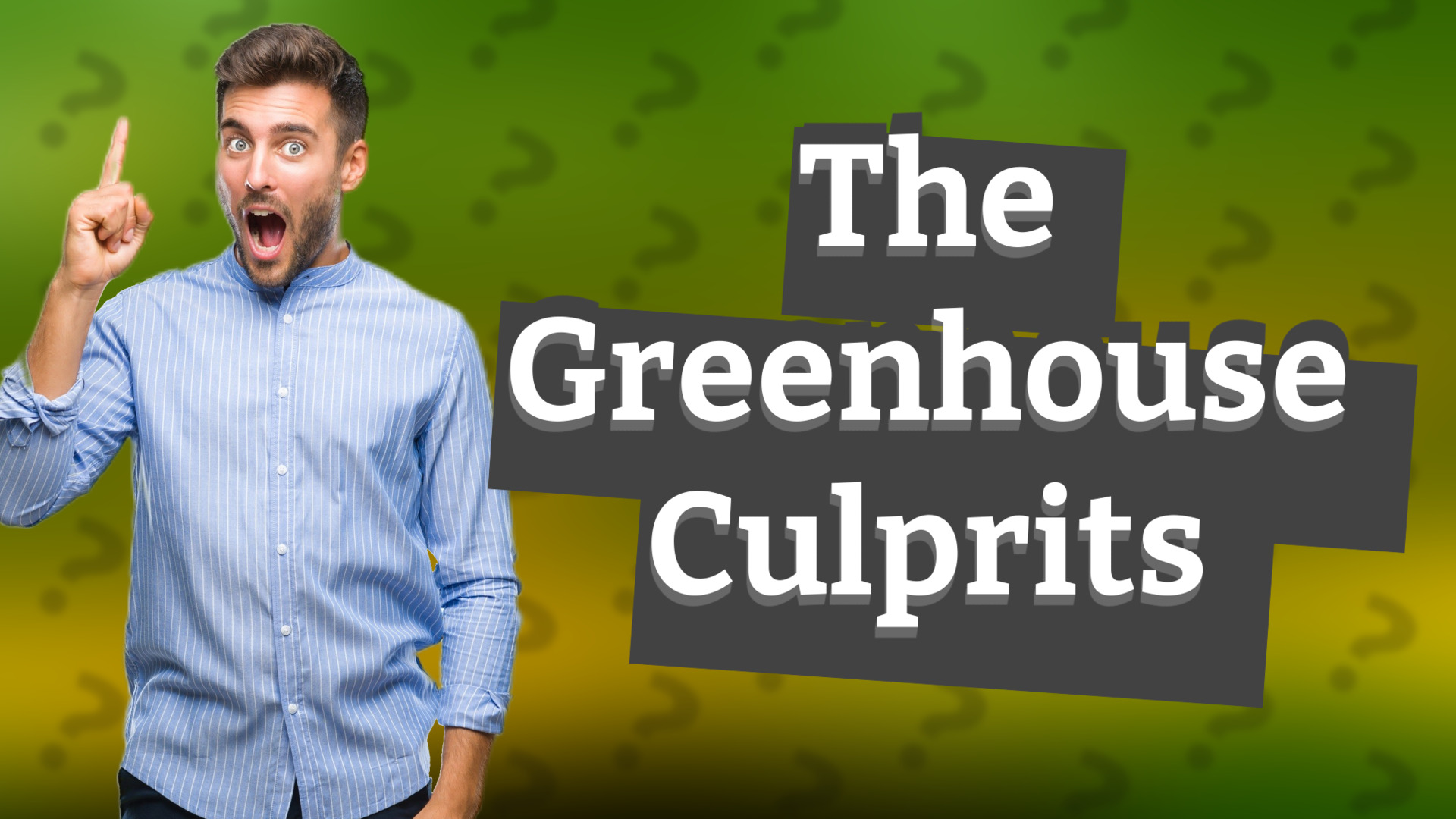The Greenhouse Culprits