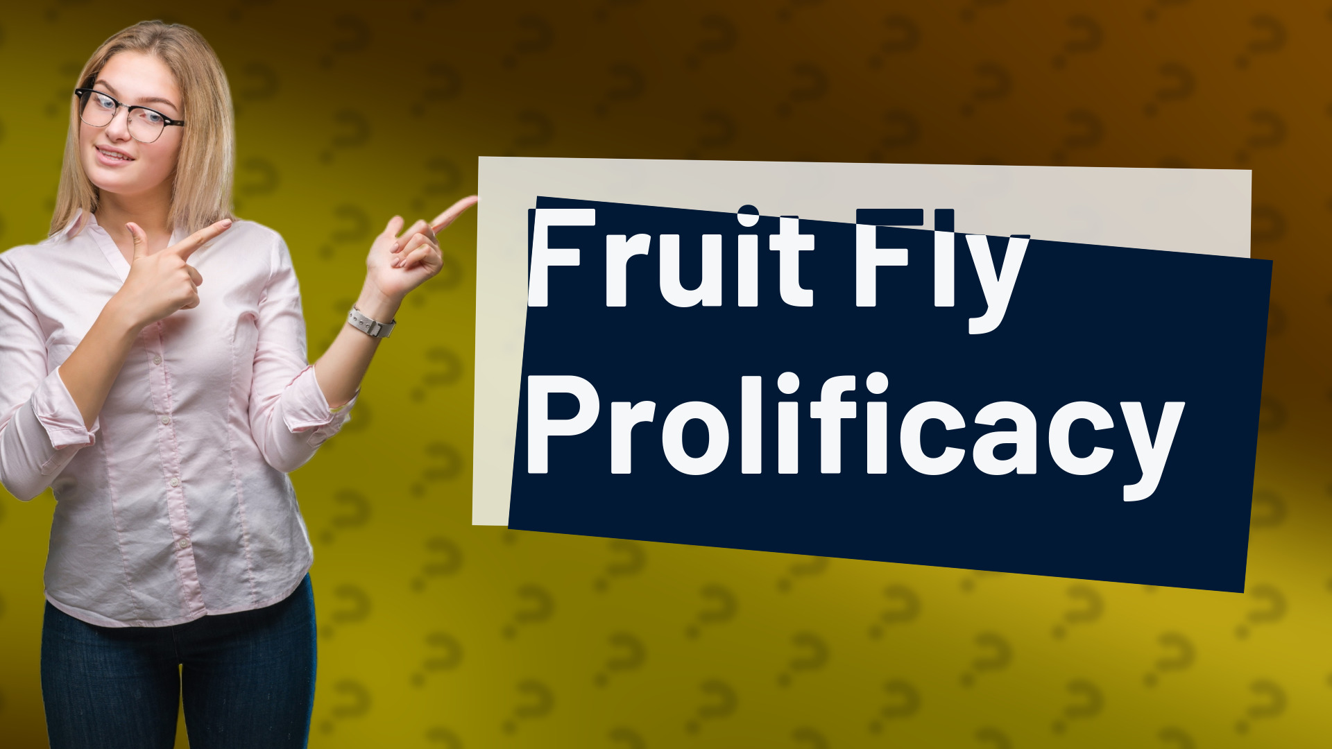 Fruit Fly Prolificacy