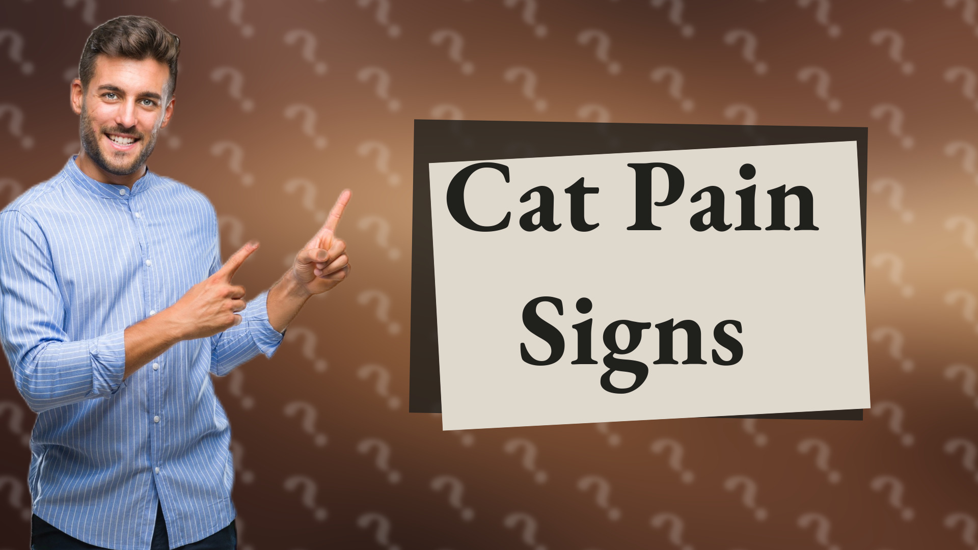 Cat Pain Signs
